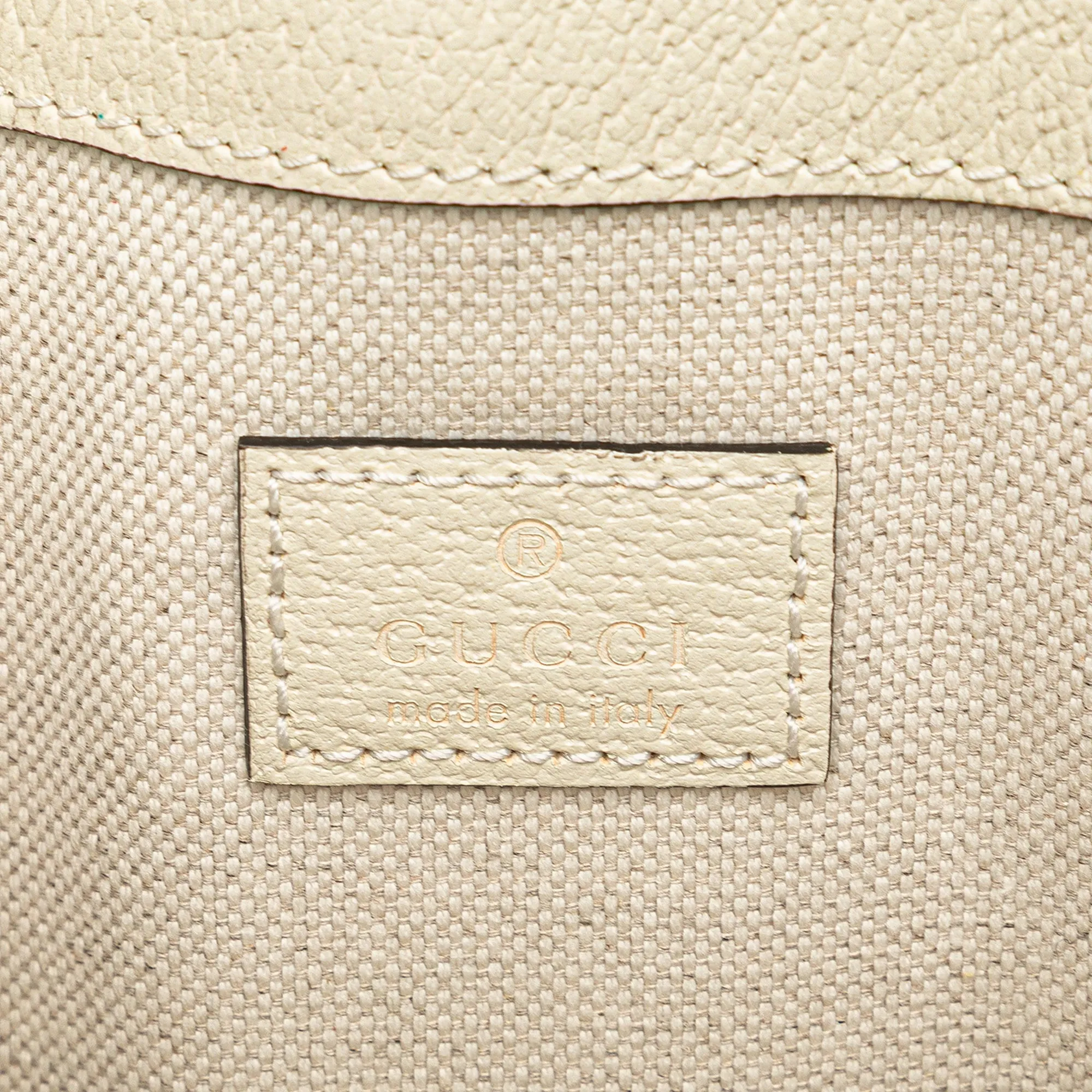 GG Supreme Ophidia Belt Bag