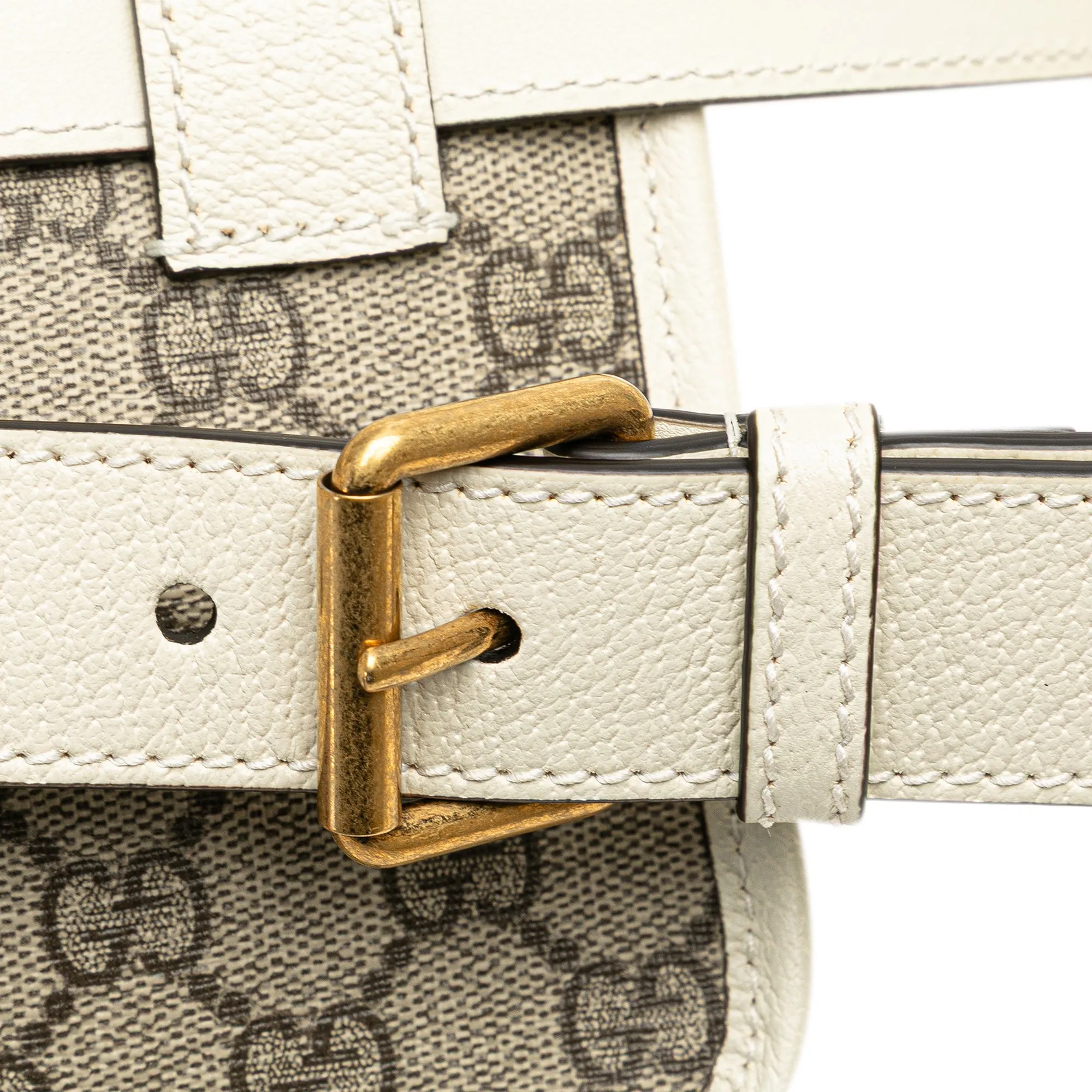 GG Supreme Ophidia Belt Bag