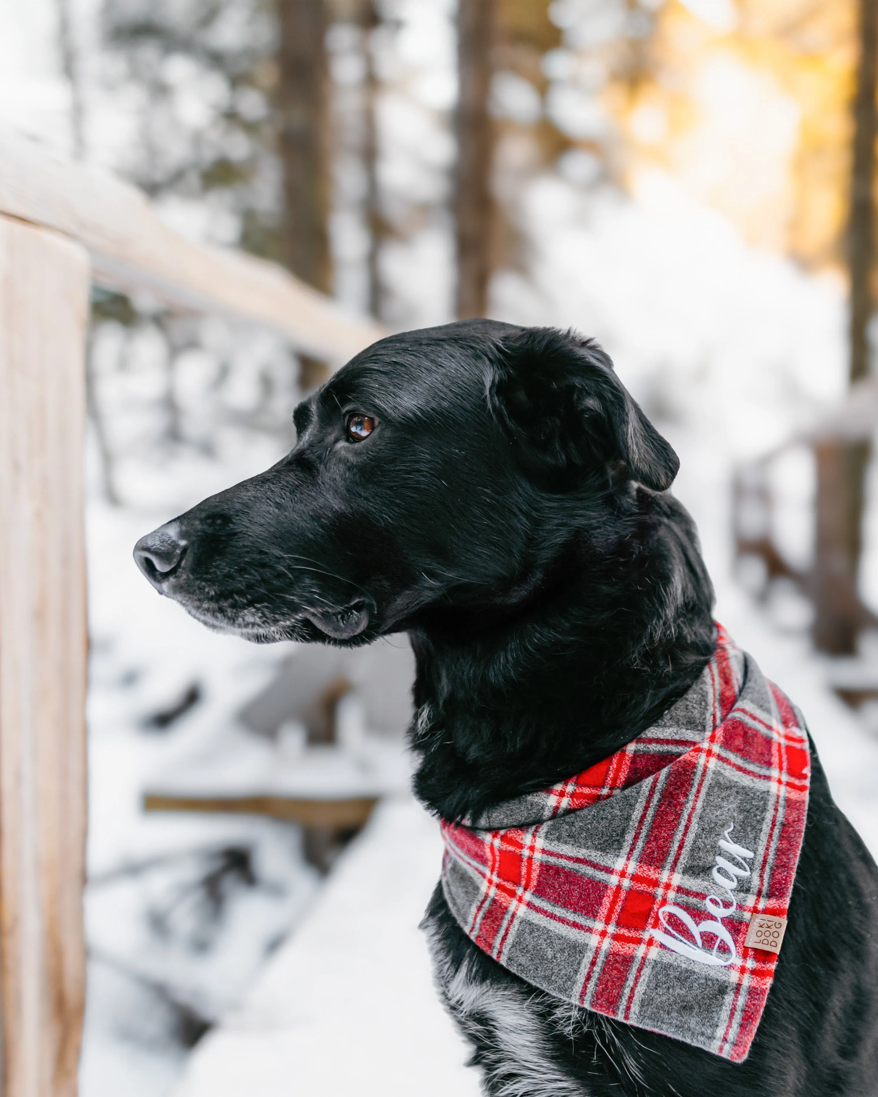 Gray and Red Plaid Flannel Dog Bandana (Personalization Available)