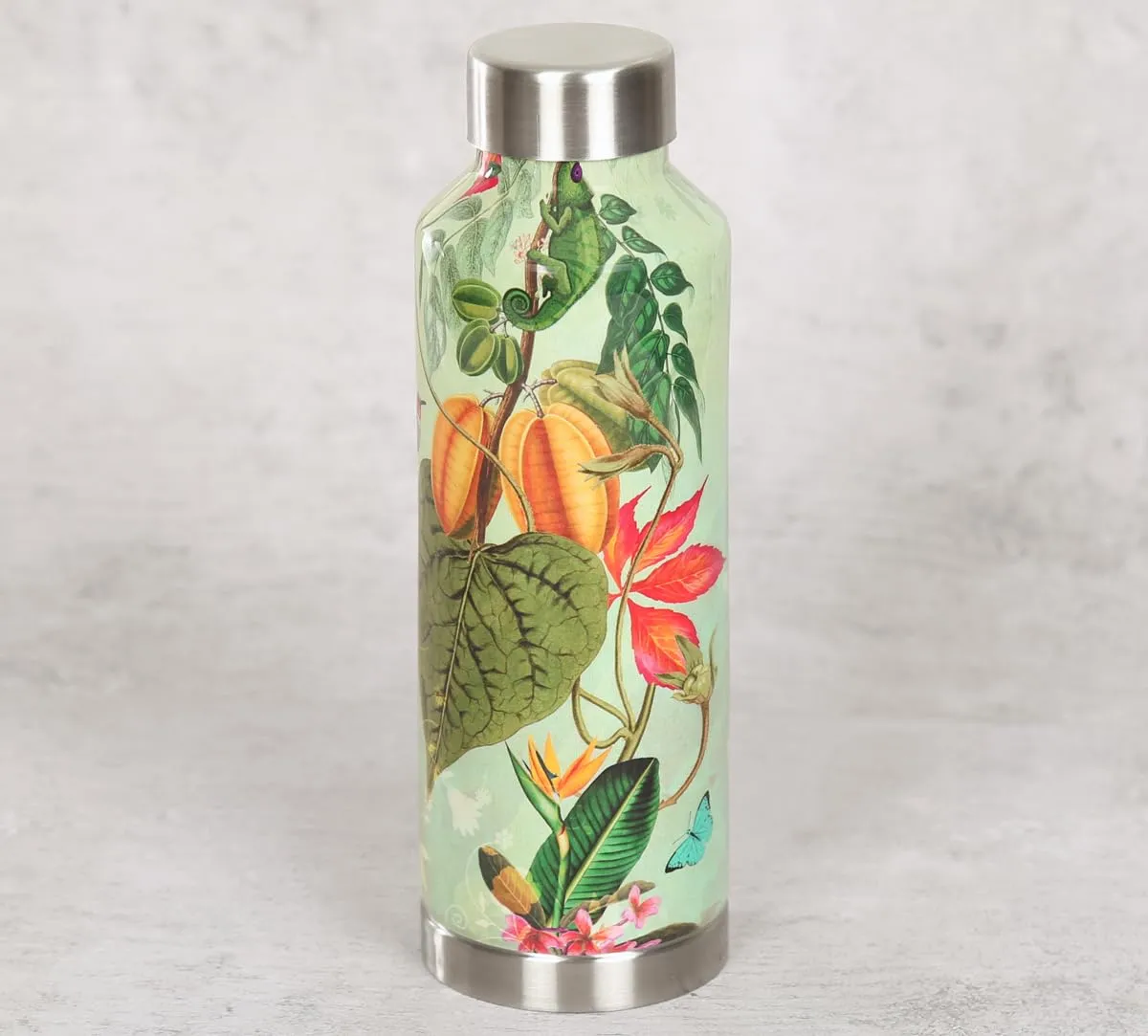 India Circus by Krsnaa Mehta Seedling Monarch Big Reusable Travel Water Steel Bottle, 830 mL (Pack of 1)