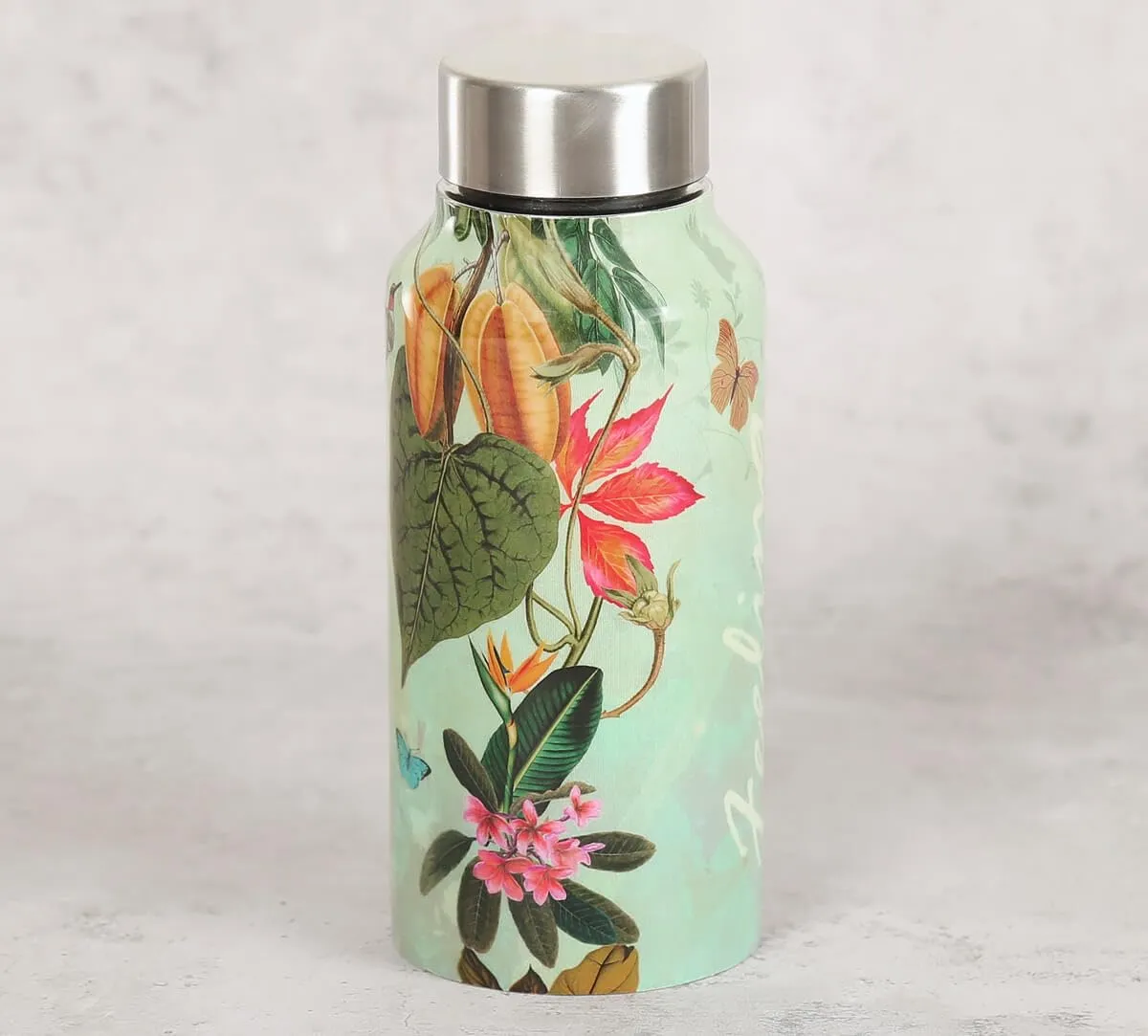 India Circus by Krsnaa Mehta Seedling Monarch Small Reusable Travel Water Steel Bottle, 550 mL (Pack of 1)
