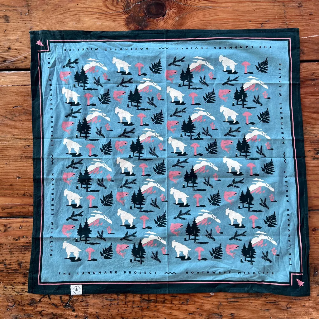 Landmark Bandanas