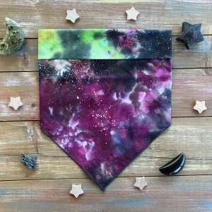 Large Galaxy
