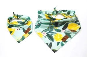 Lemons On Mint - Pet Bandana