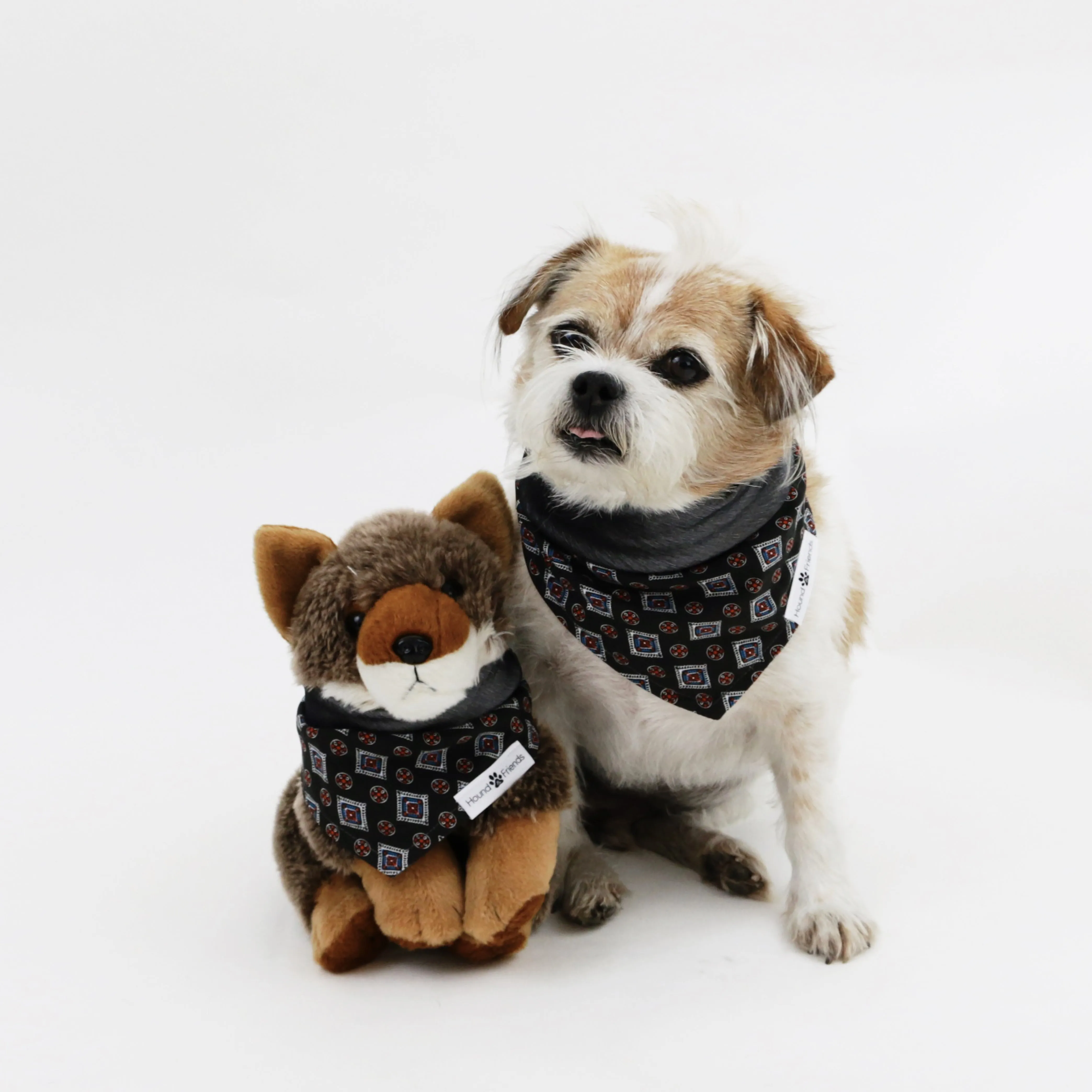 Lenny Reversible Bandana