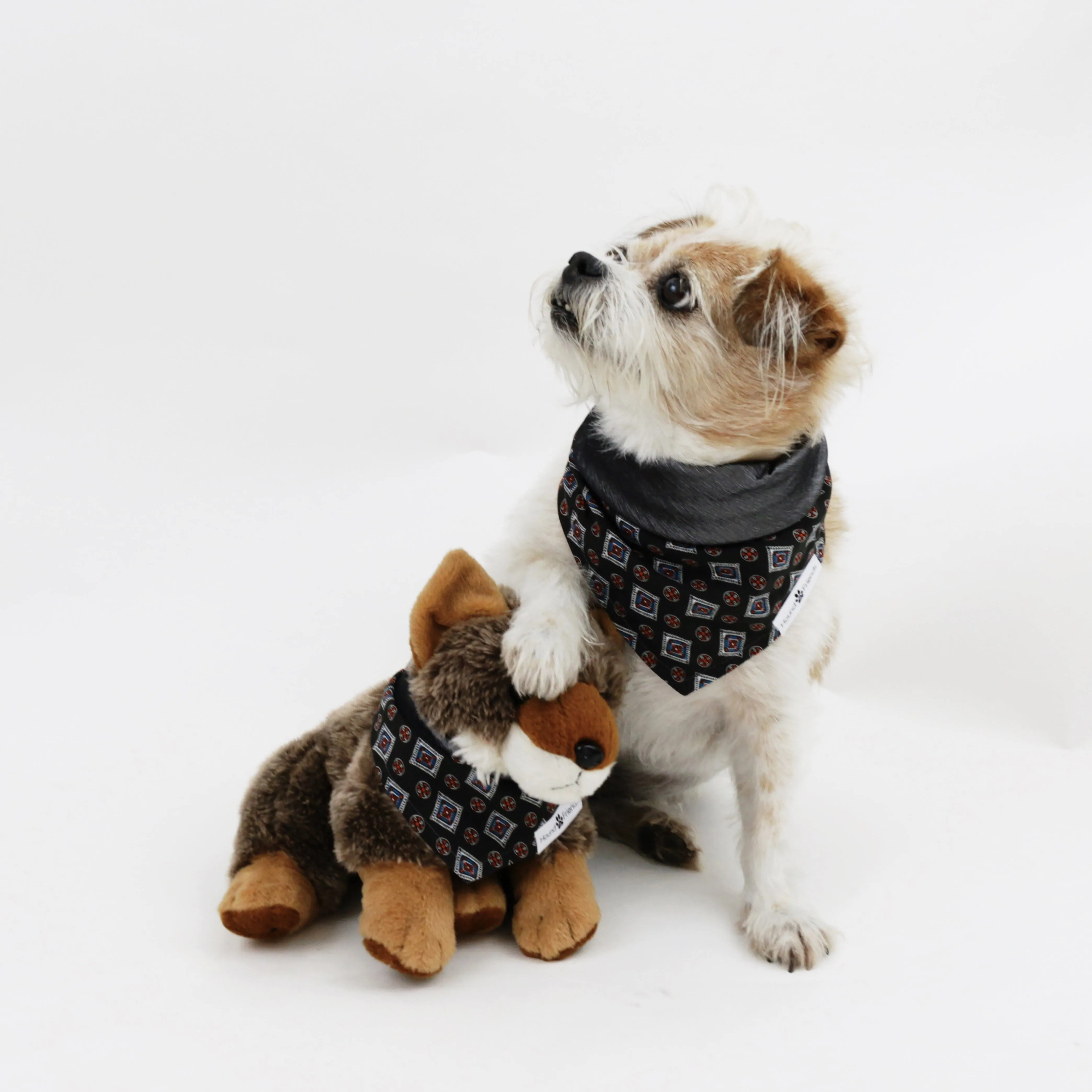 Lenny Reversible Bandana