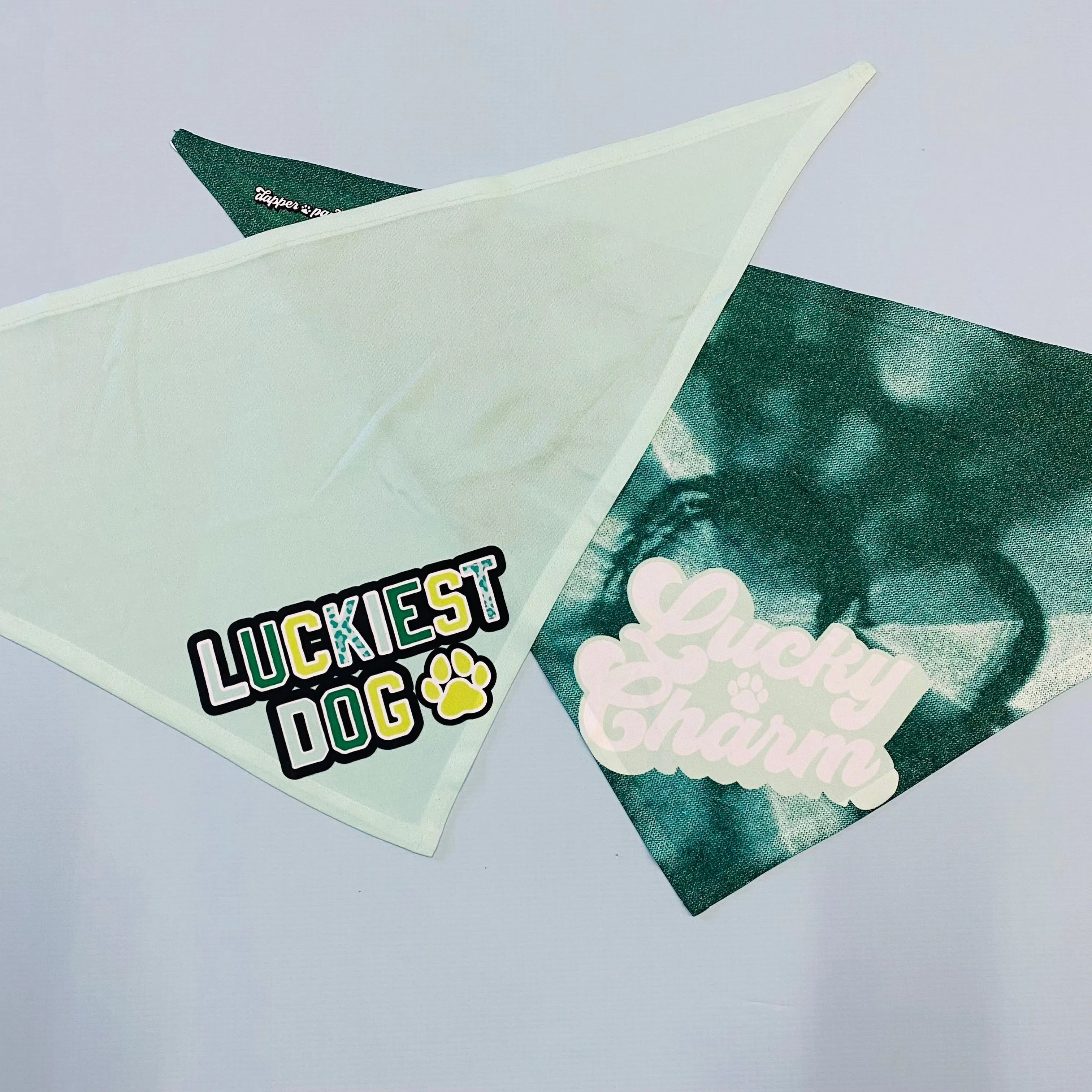 Luckiest Dog Bandana