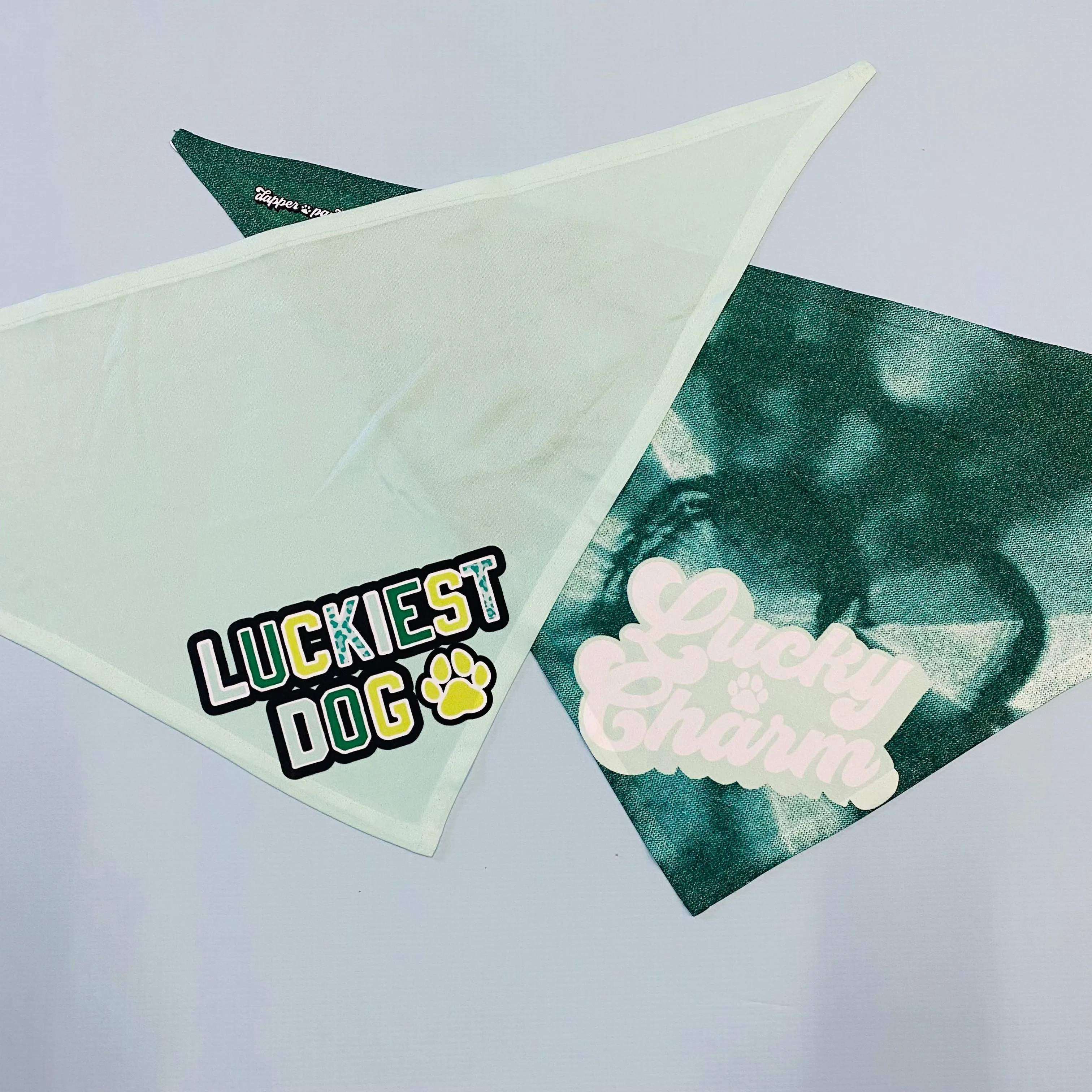 Lucky Charm Bandana