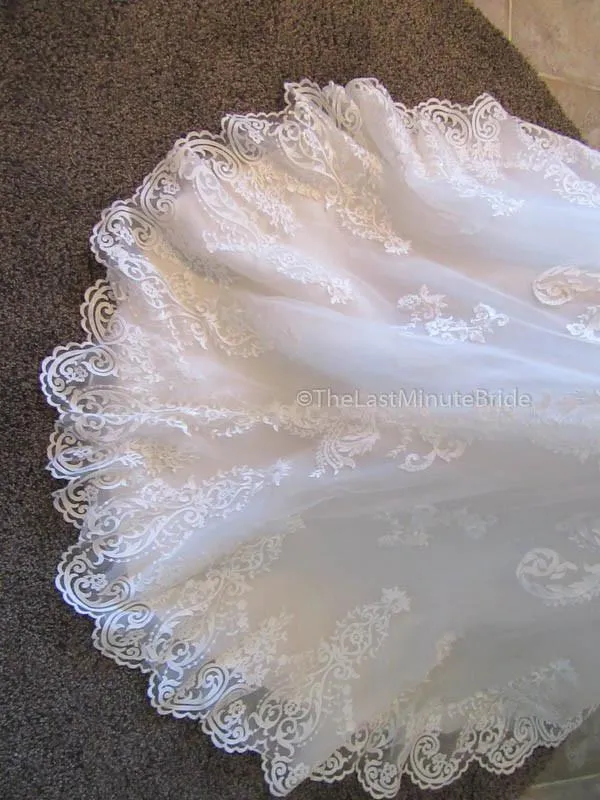 Maggie Sottero Rosamund 6MT199 size 10 sold out
