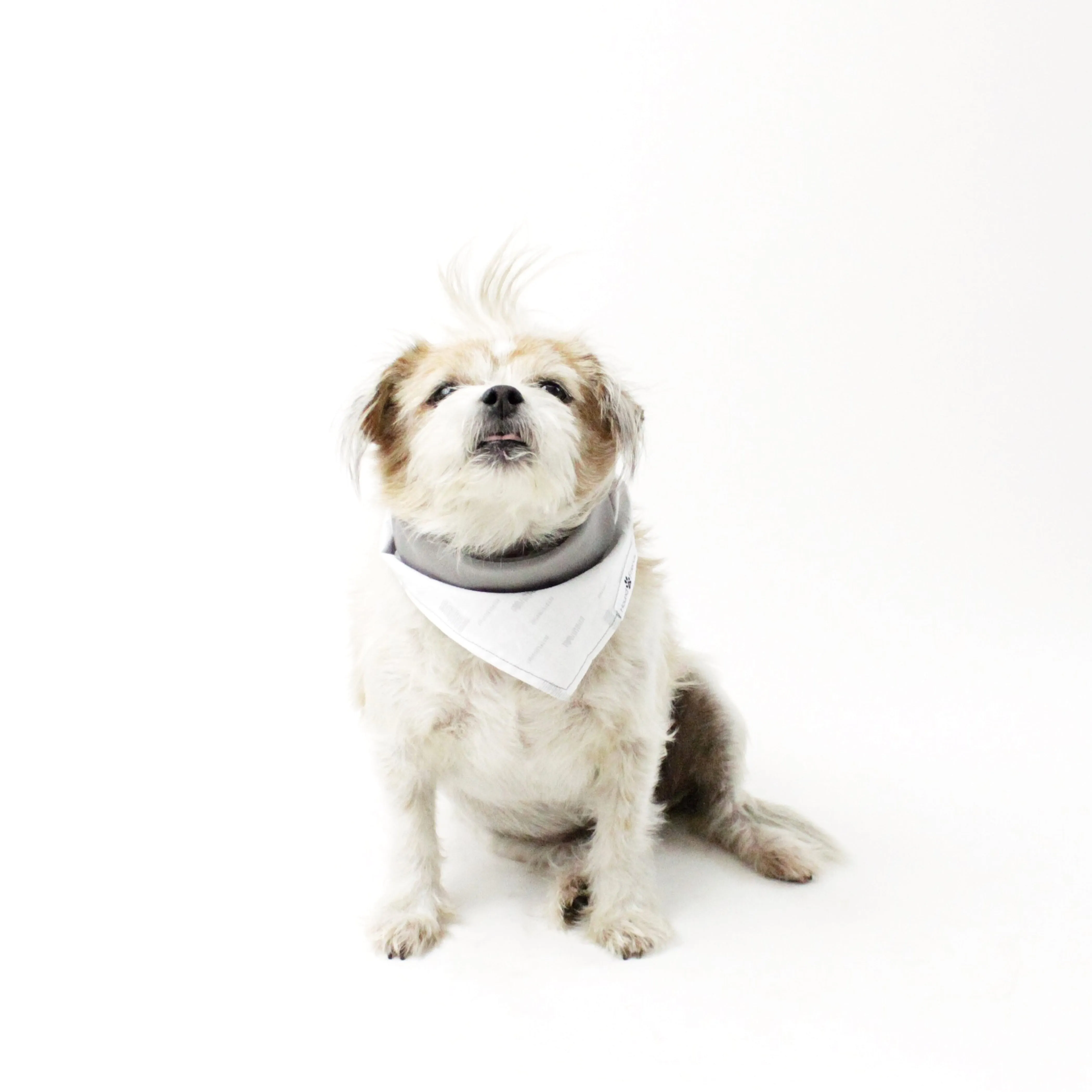 Margo Reversible Bandana