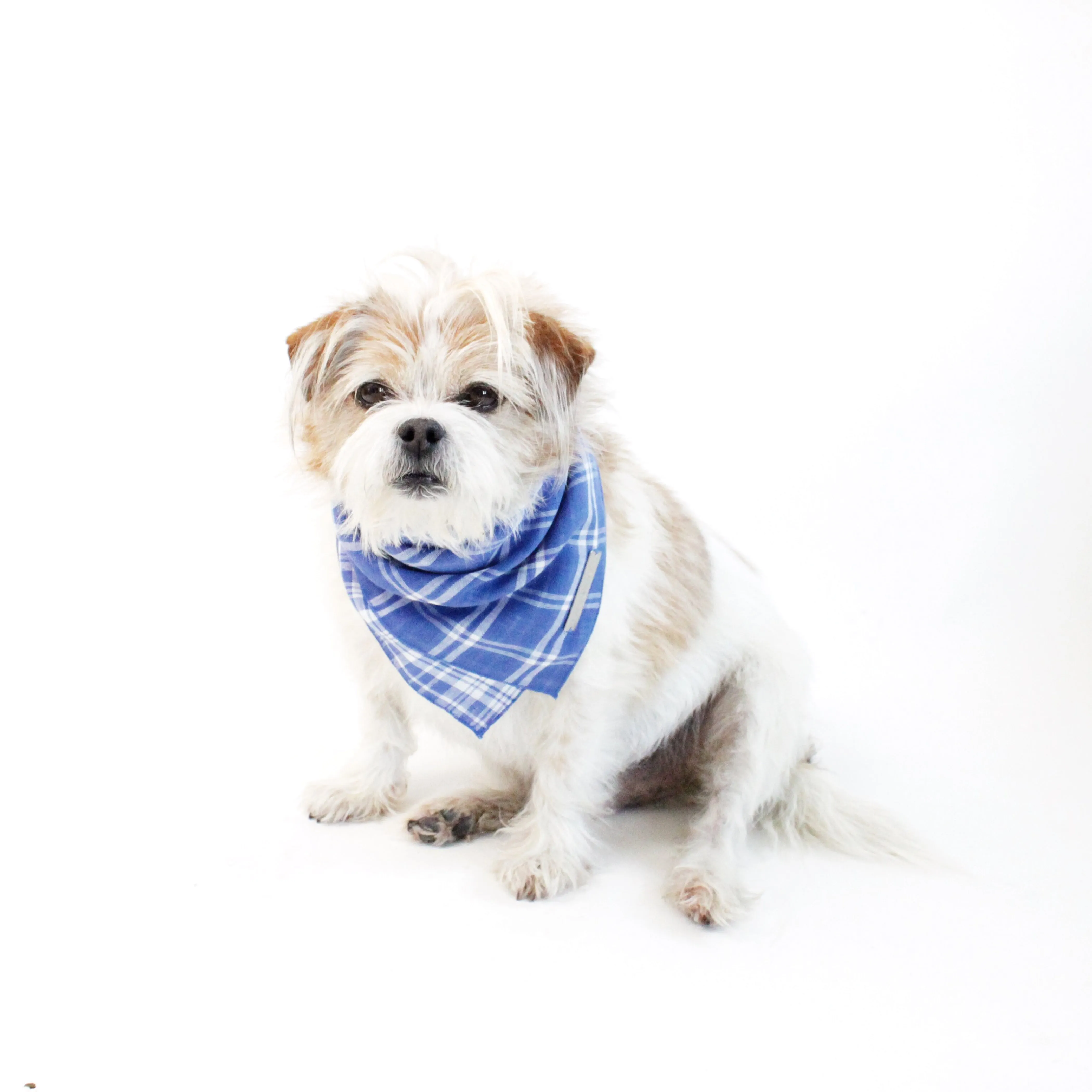 Marvin Reversible Scarf Bandana