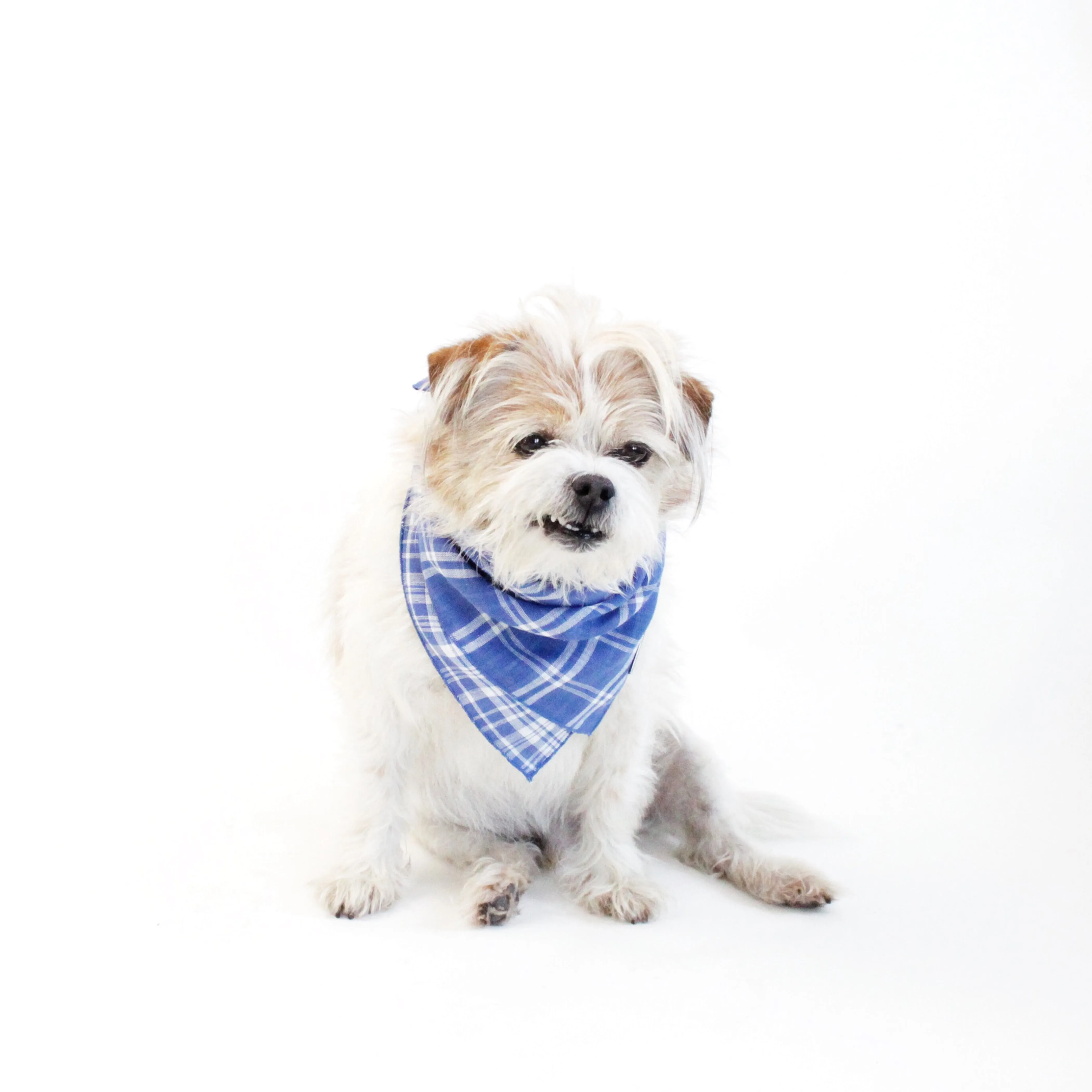 Marvin Reversible Scarf Bandana
