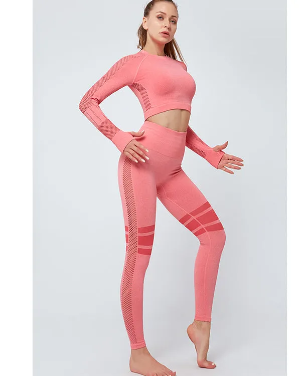 Mesh Seamless Gym Sets