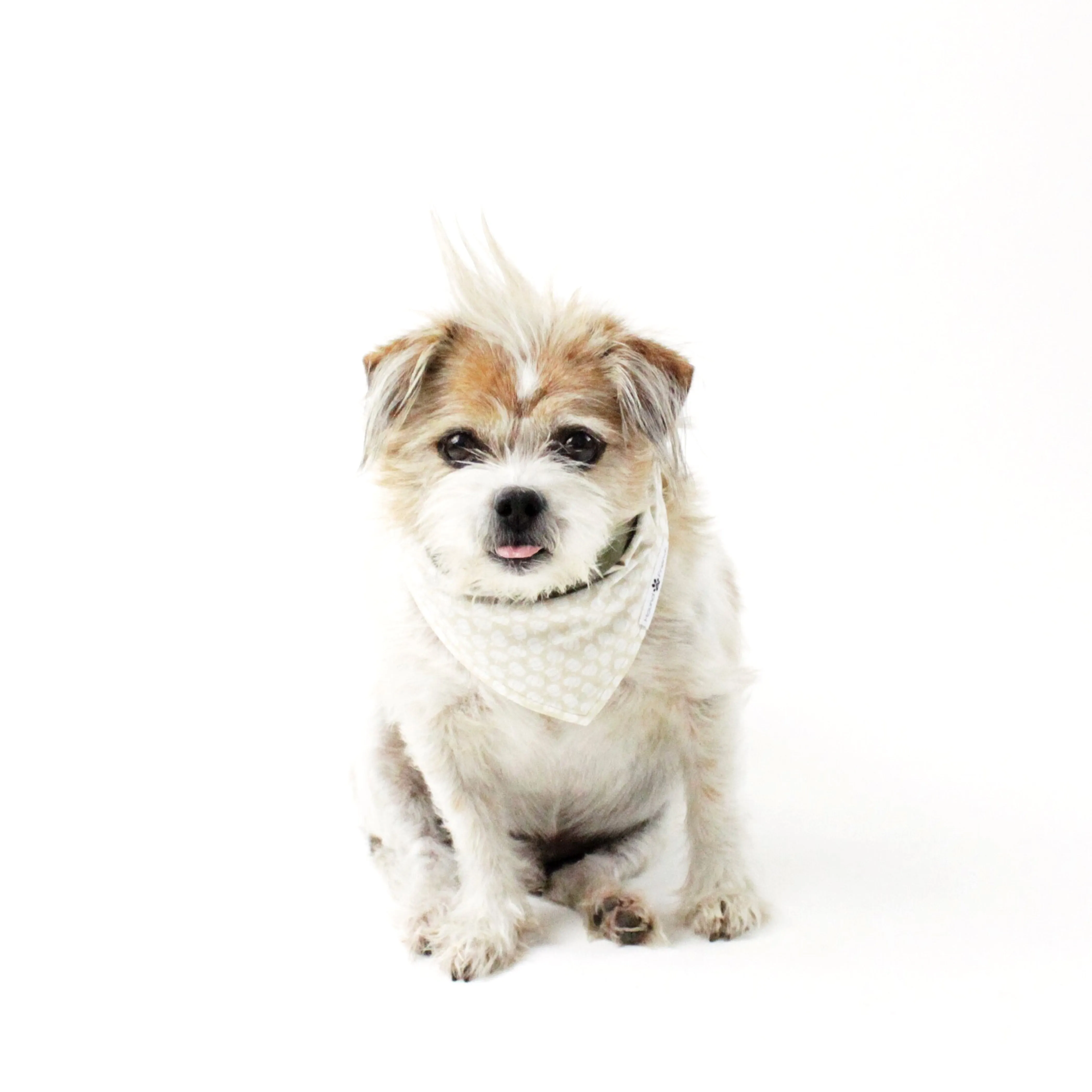 Mix Me Up! Bandana Bundles