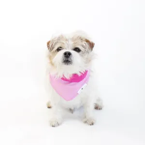 Mix Me Up! Bandana Bundles
