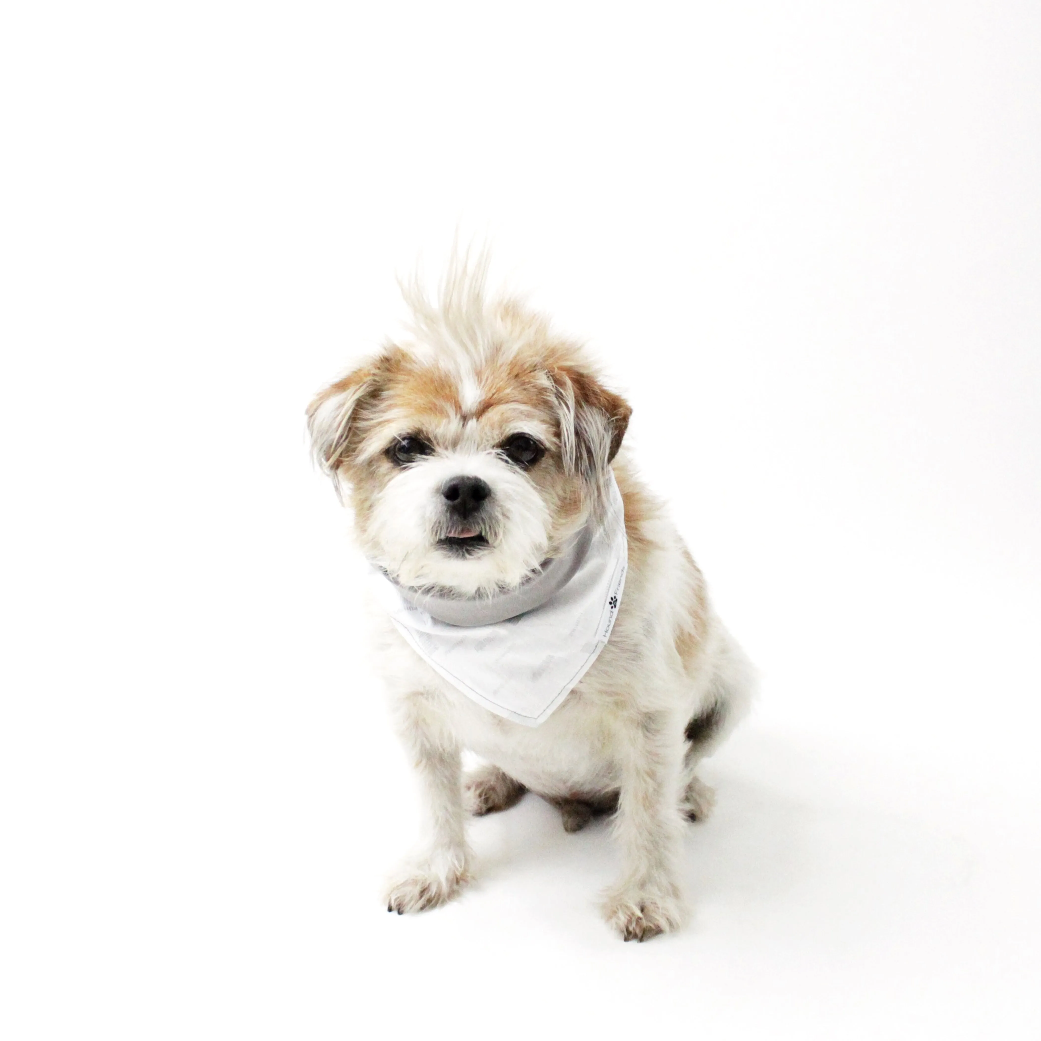 Mix Me Up! Bandana Bundles