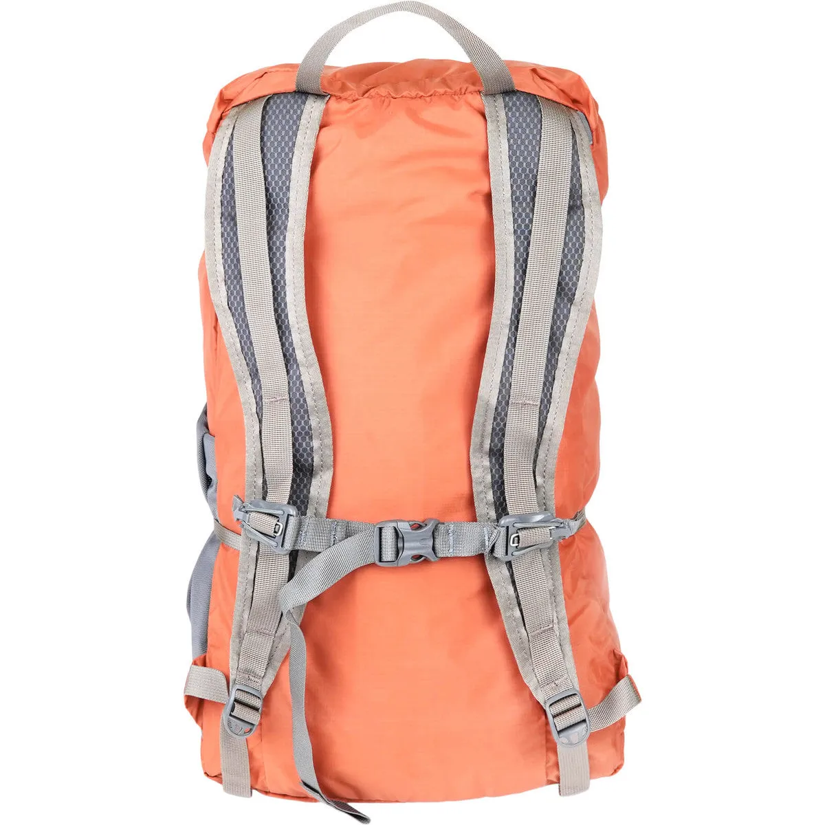 Mystery Ranch In and Out 22 Backpack