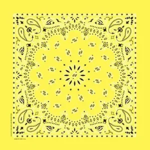 NT4403 Bandana Paisley Yellow