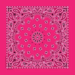 NT4413 Bandana Paisley Hot Pink