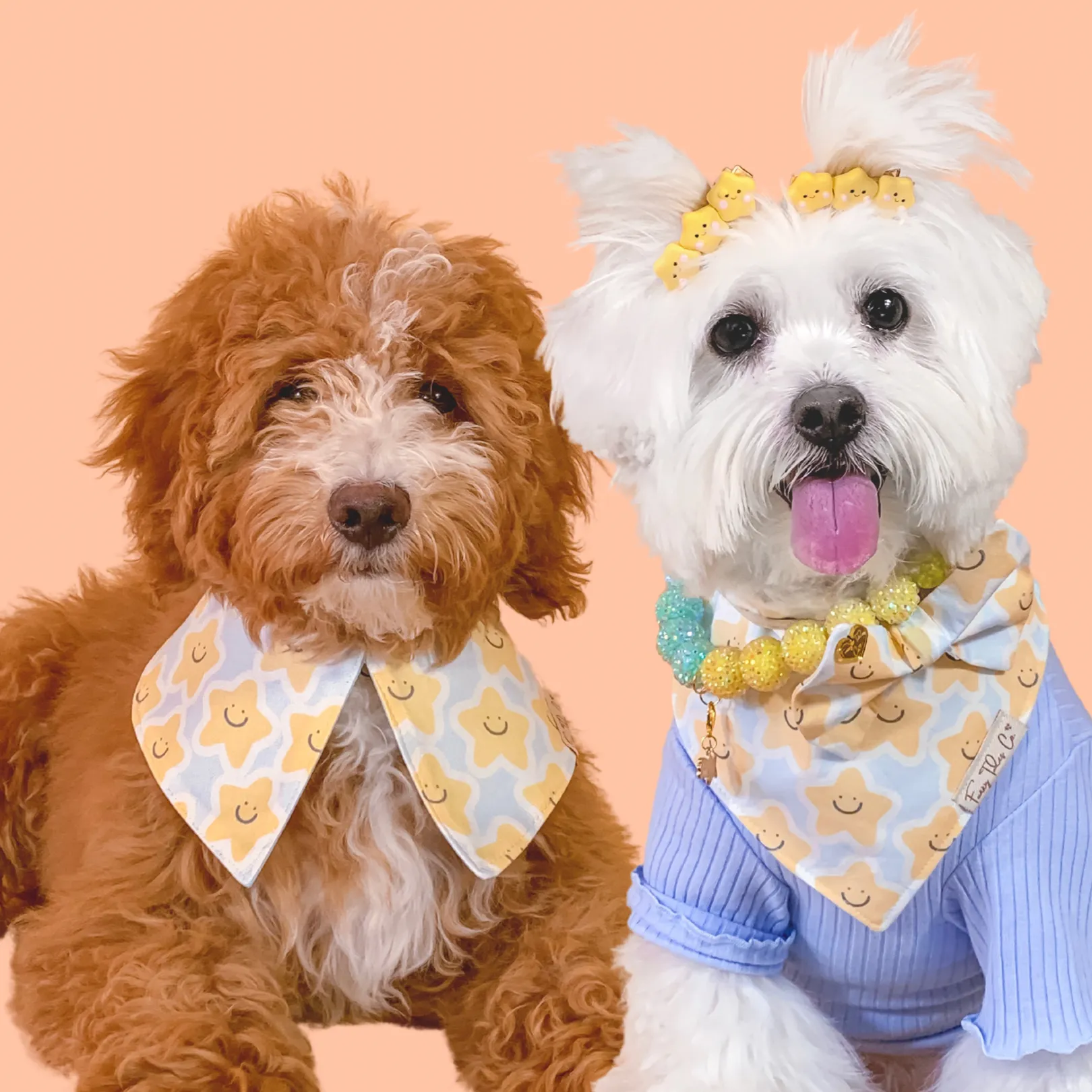 Oh, My Starling! Bandana