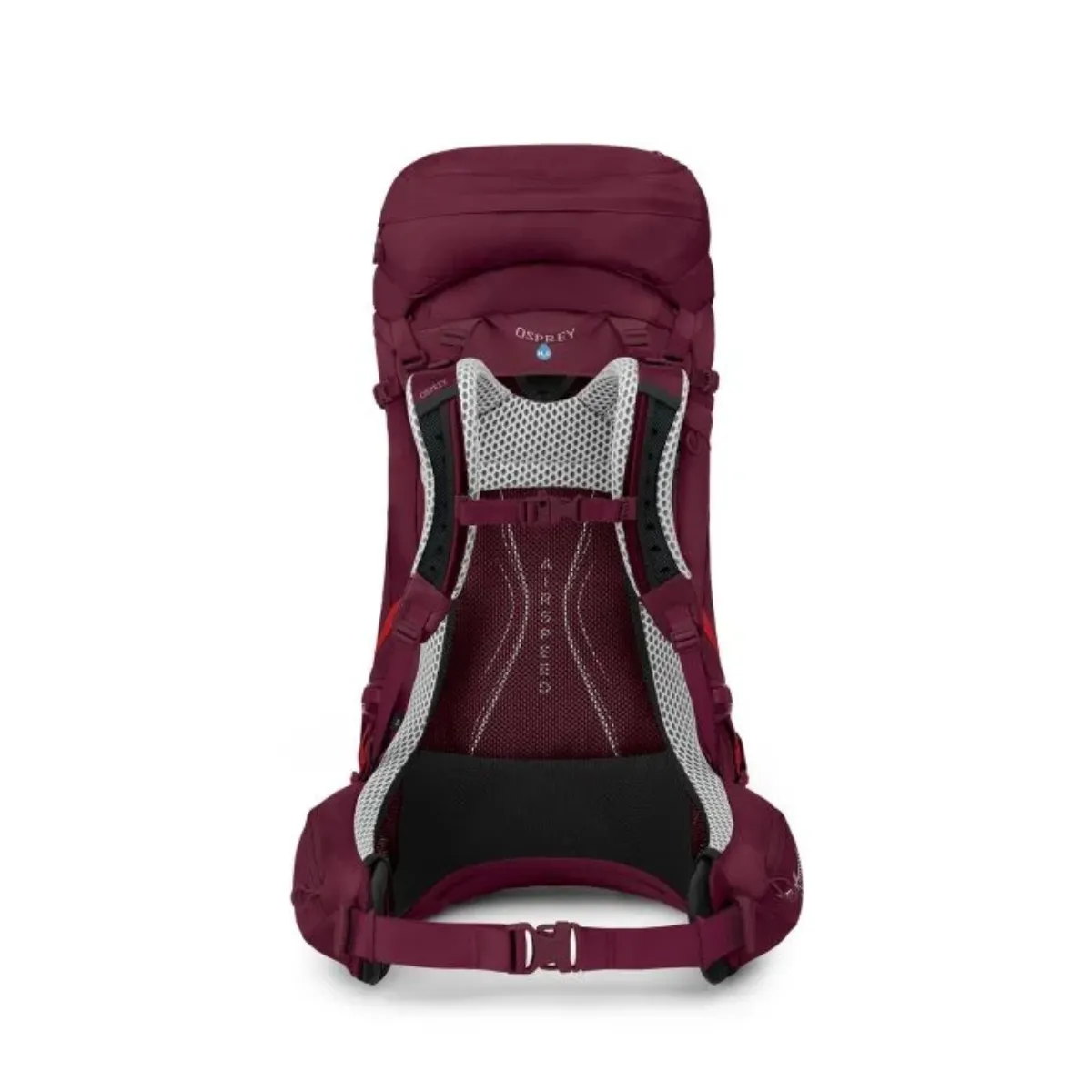 Osprey Aura AG LT Antidote Purple WM/L 50 L