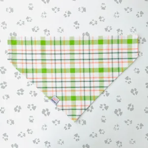 Paddy's Plaid Bandana