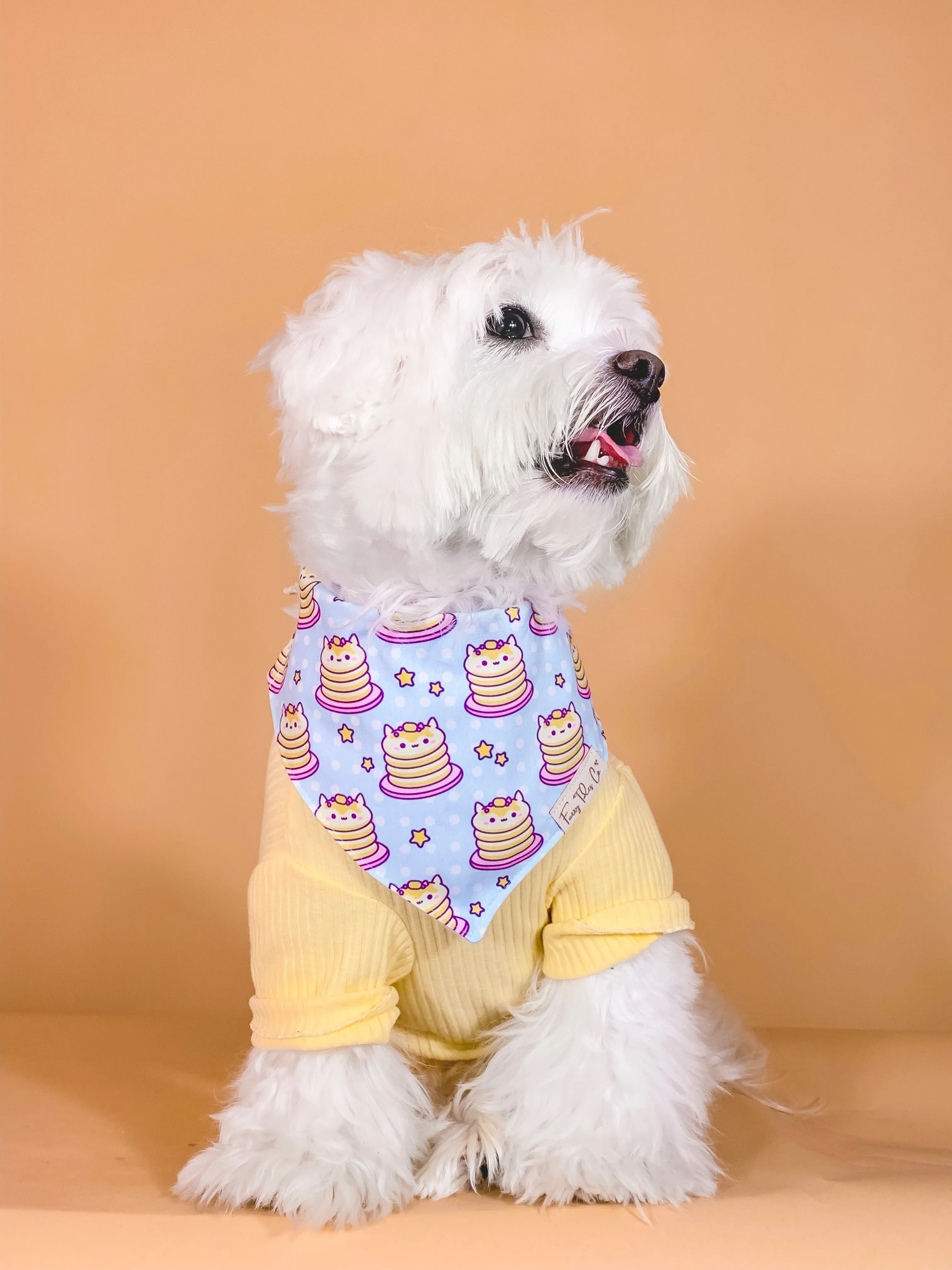 Pancake House Bandana
