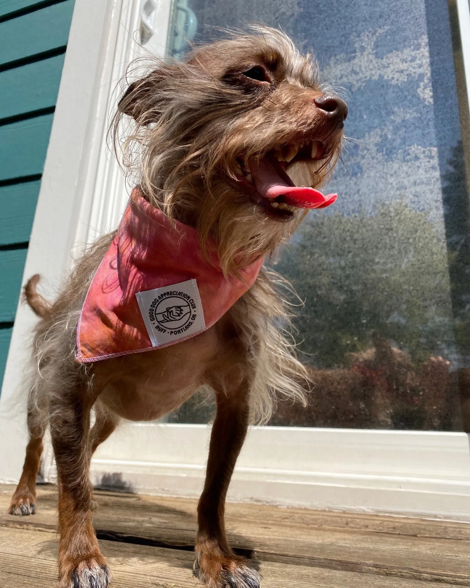 Peachy Pink Ice Dye Bandana