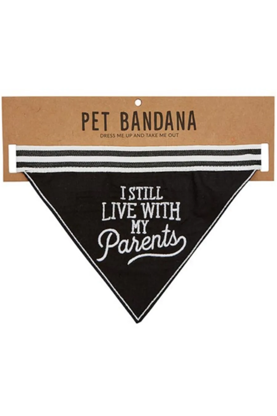Pet Bandana