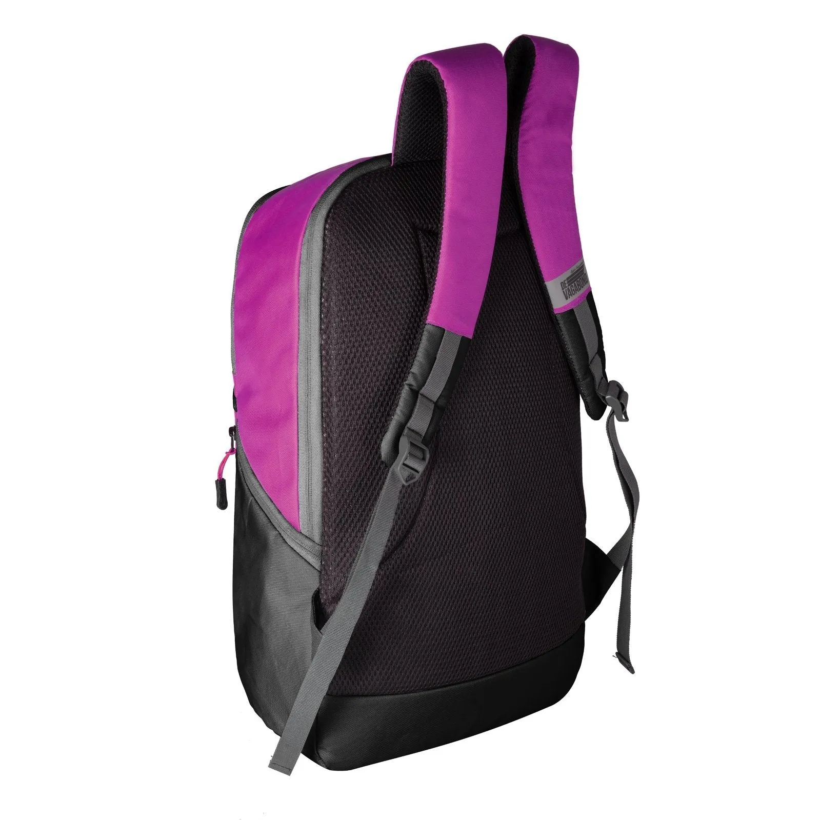 Phinix Purple
