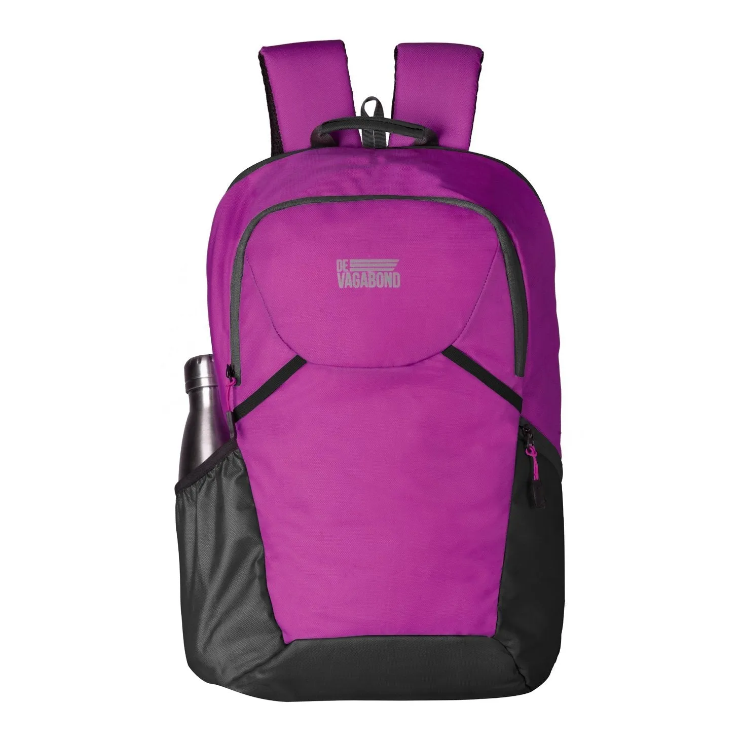 Phinix Purple