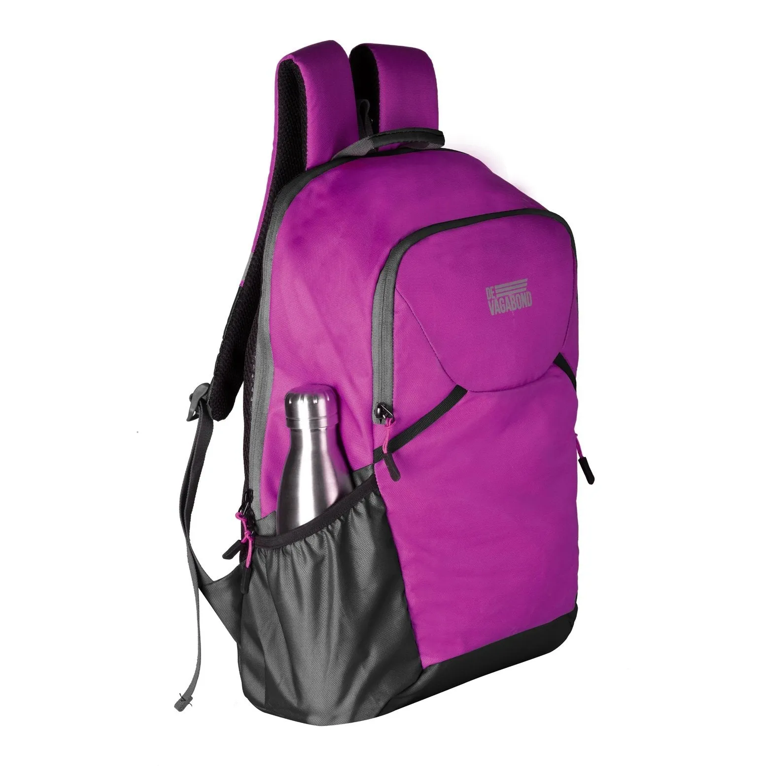 Phinix Purple