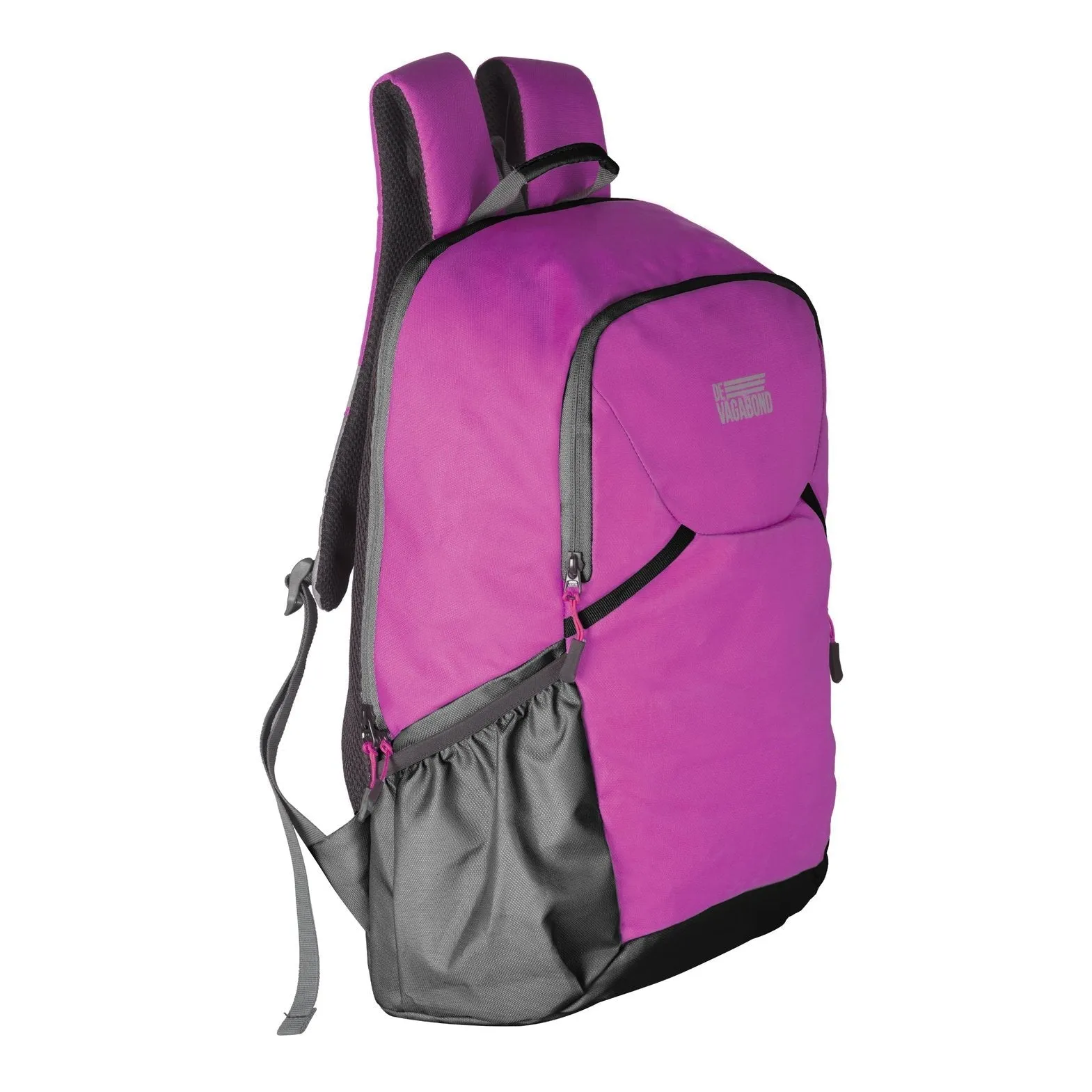 Phinix Purple