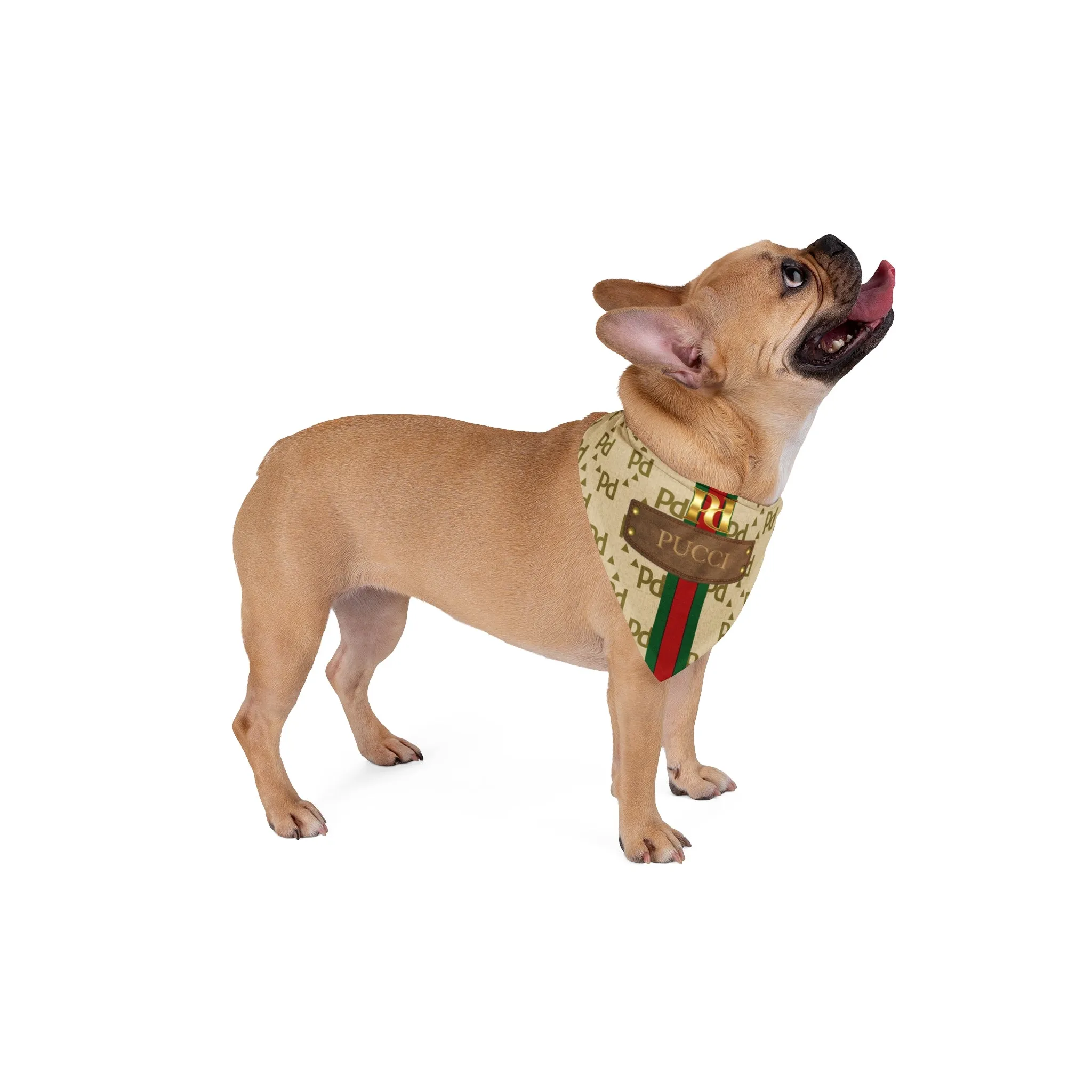Pucci Pet Bandana