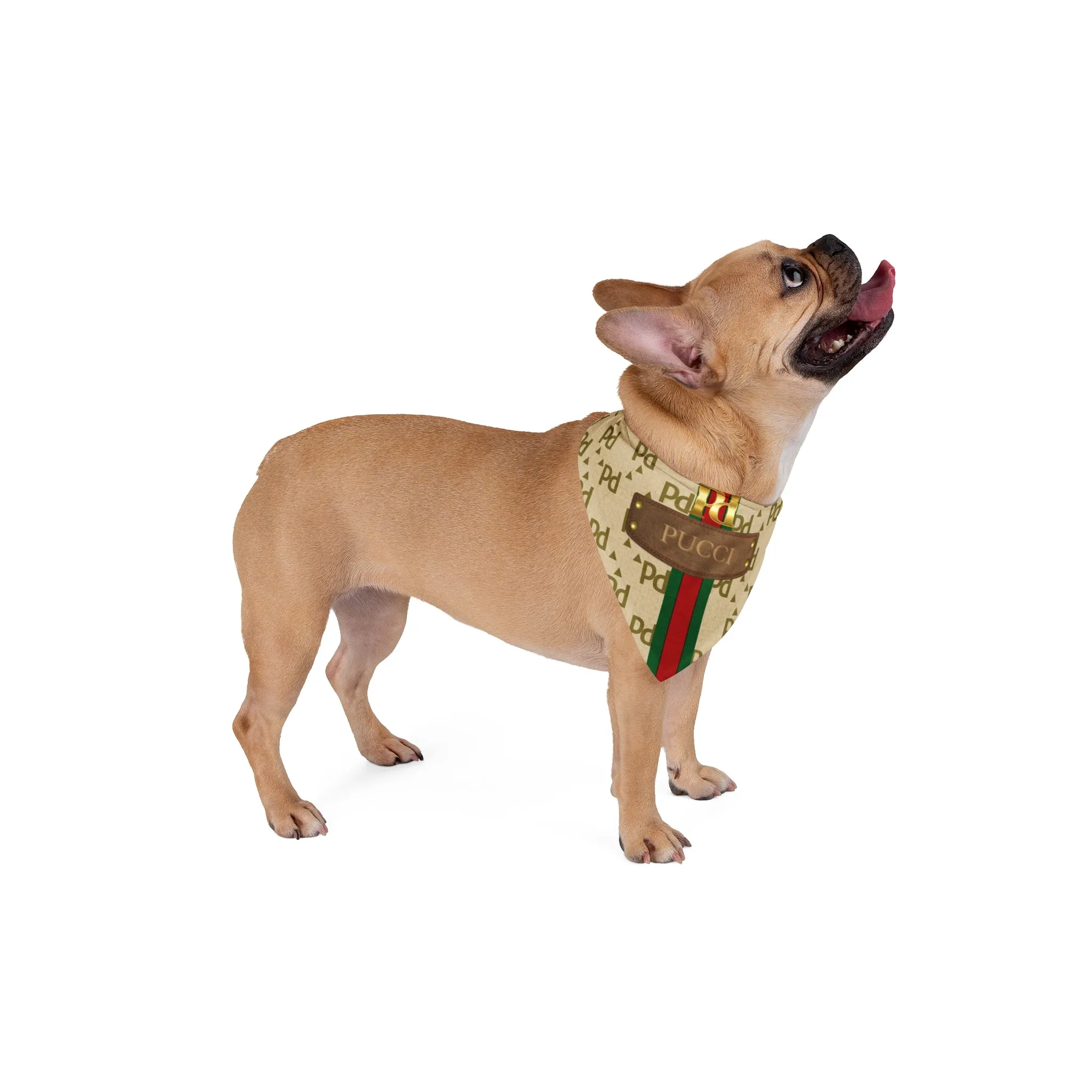 Pucci Pet Bandana