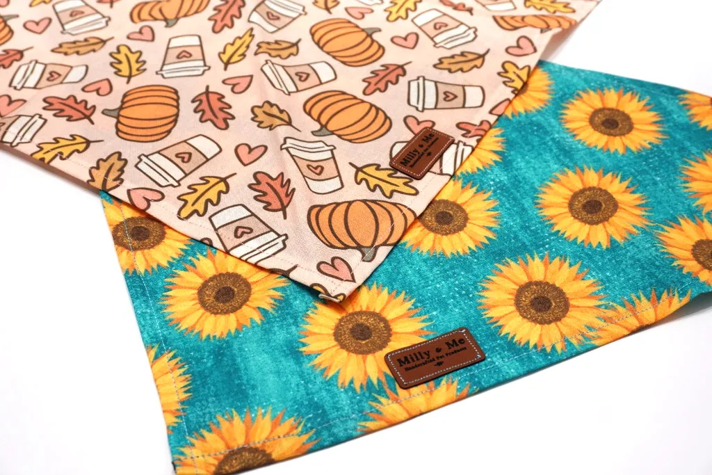 Pumpkin Spice - Pet Bandana