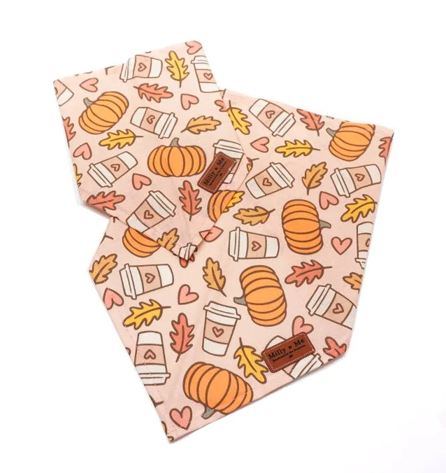 Pumpkin Spice - Pet Bandana