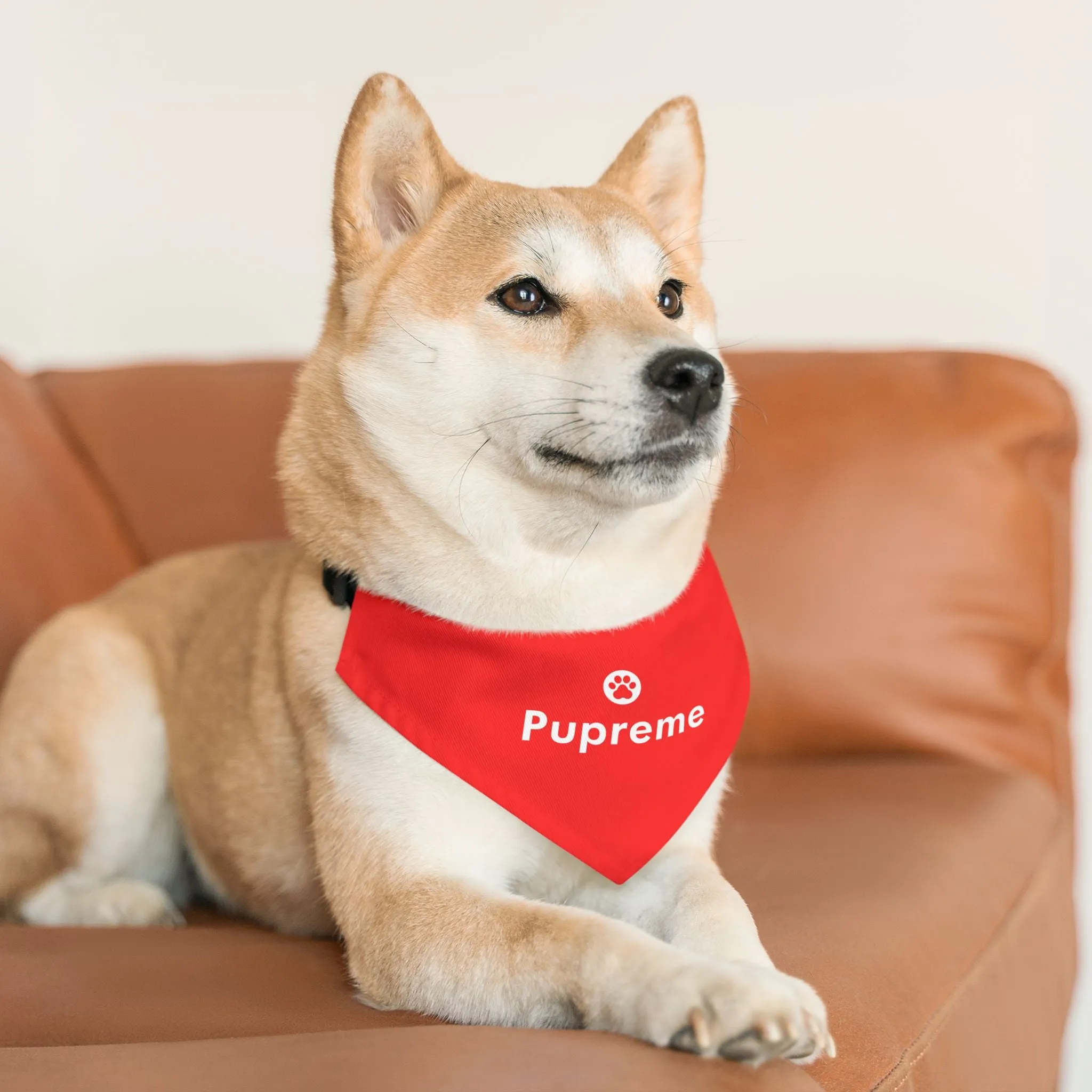 Pupreme Faux-Designer Pet Bandana Collar