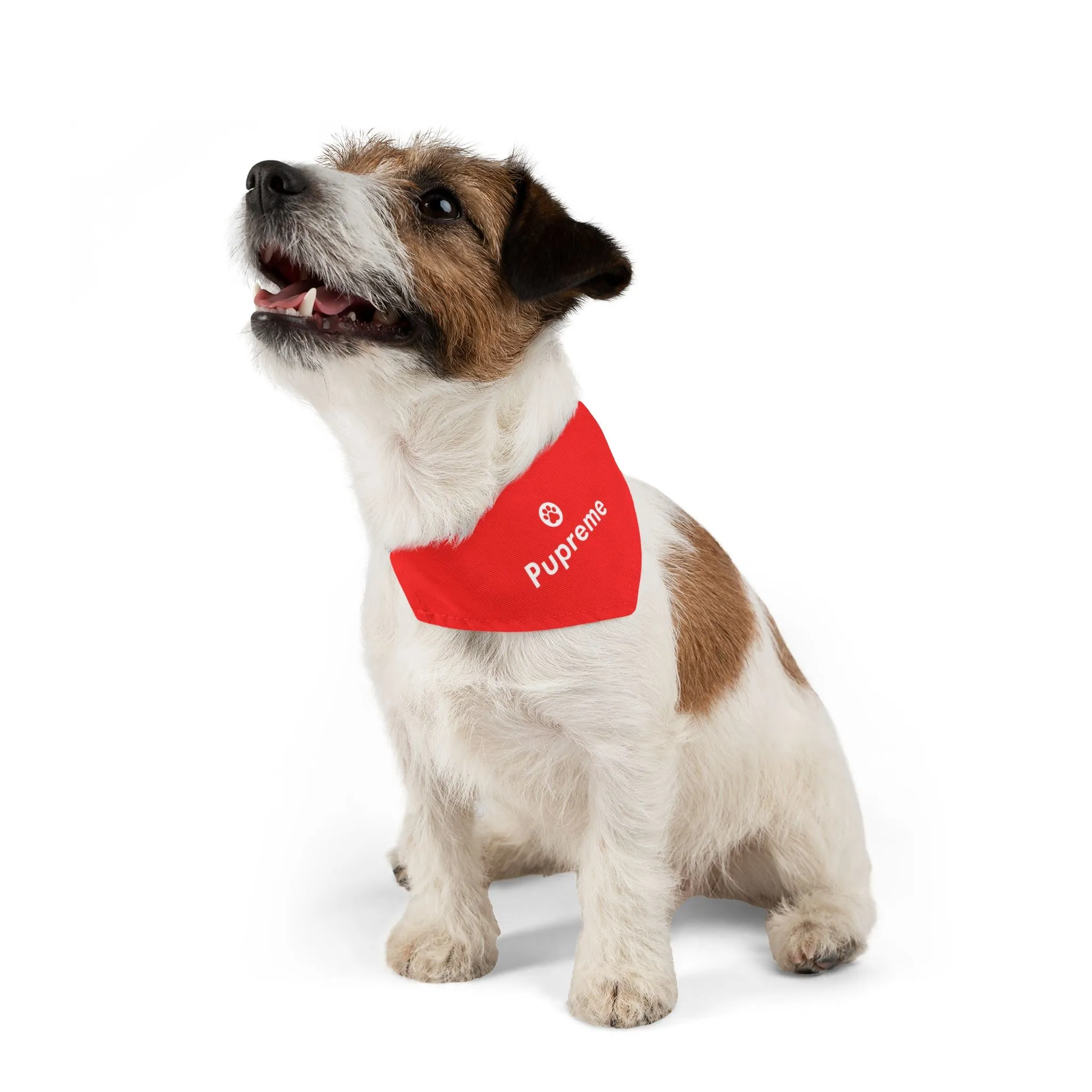 Pupreme Faux-Designer Pet Bandana Collar