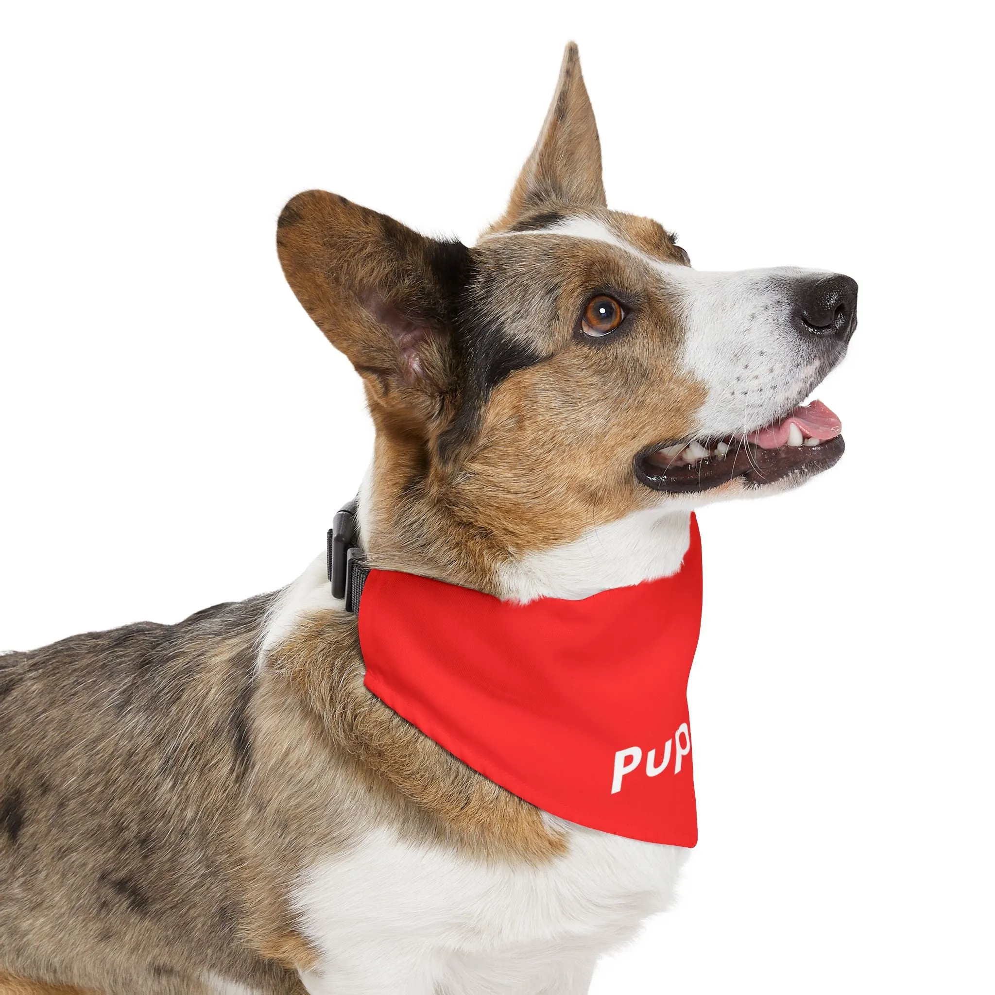 Pupreme Faux-Designer Pet Bandana Collar