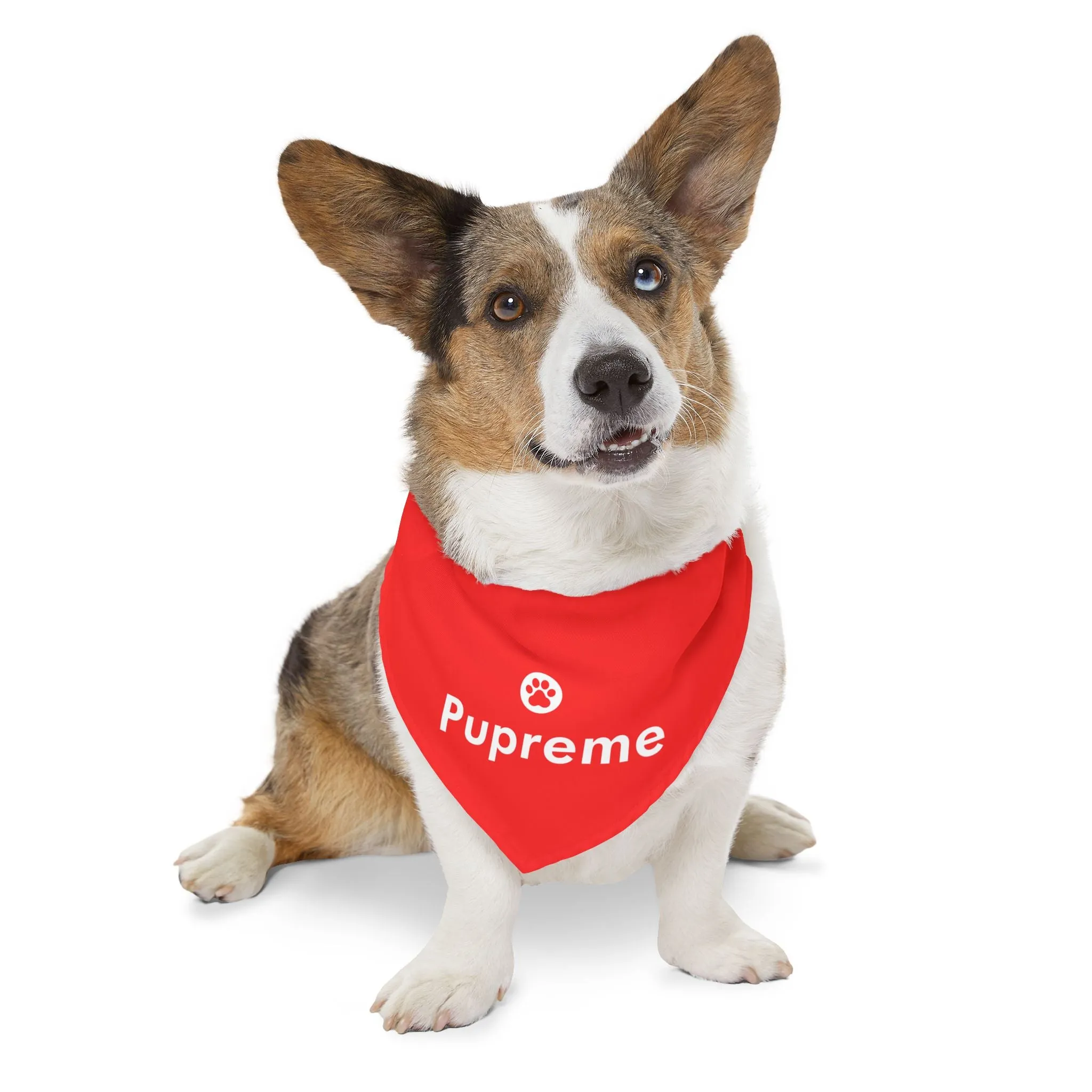 Pupreme Faux-Designer Pet Bandana Collar