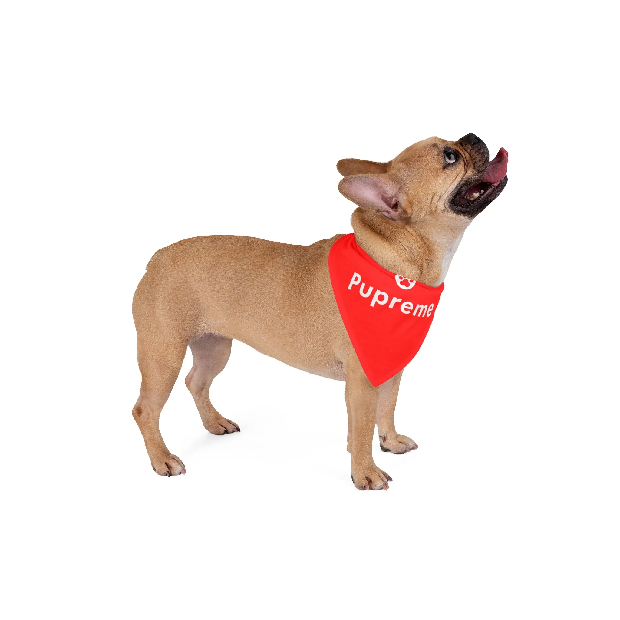 Pupreme Pet Bandana