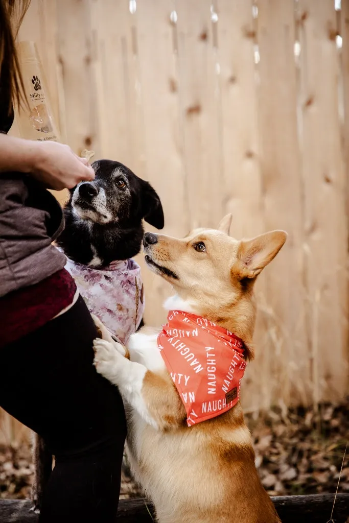 Red Naughty - Pet Bandana