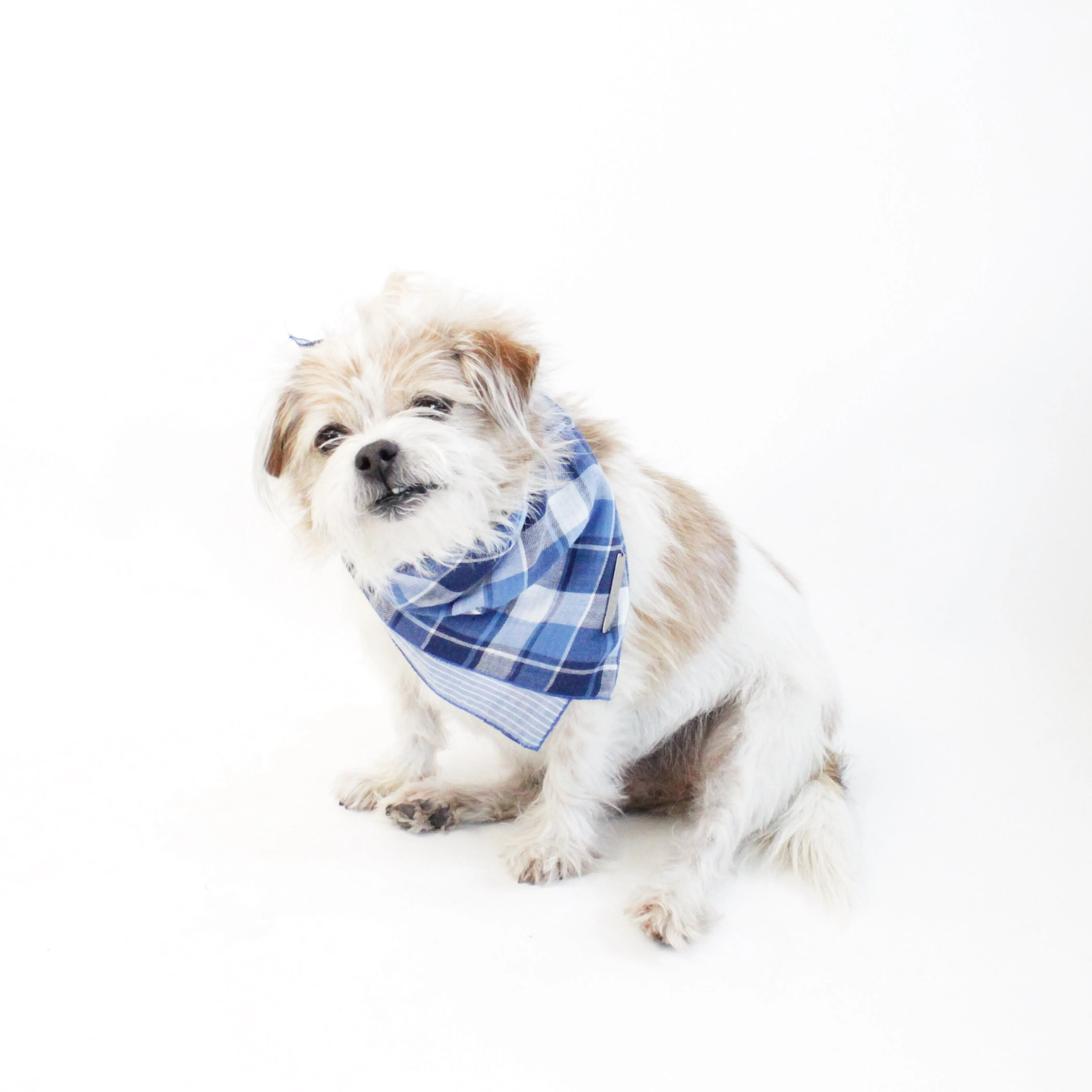 Riley Reversible Scarf Bandana