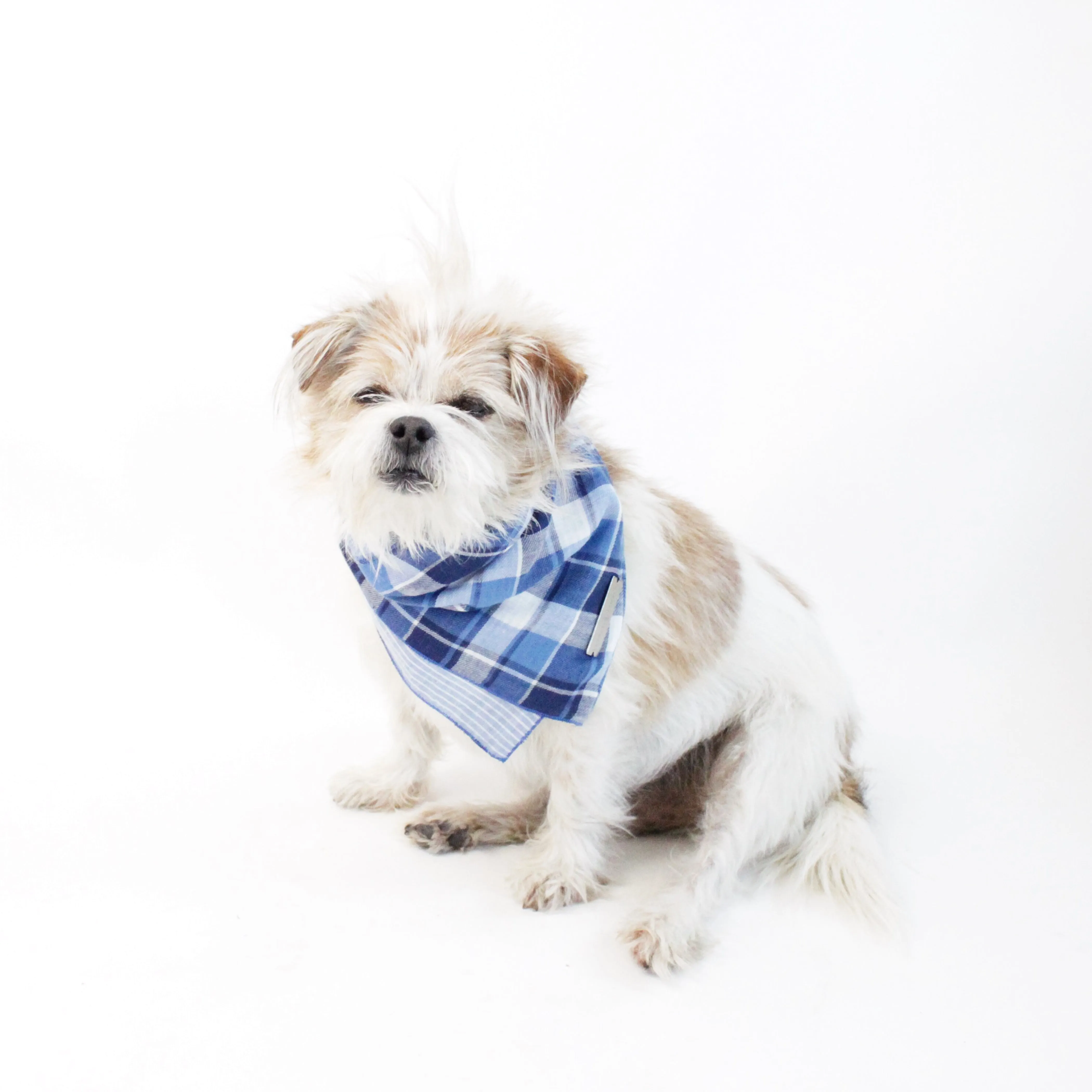Riley Reversible Scarf Bandana