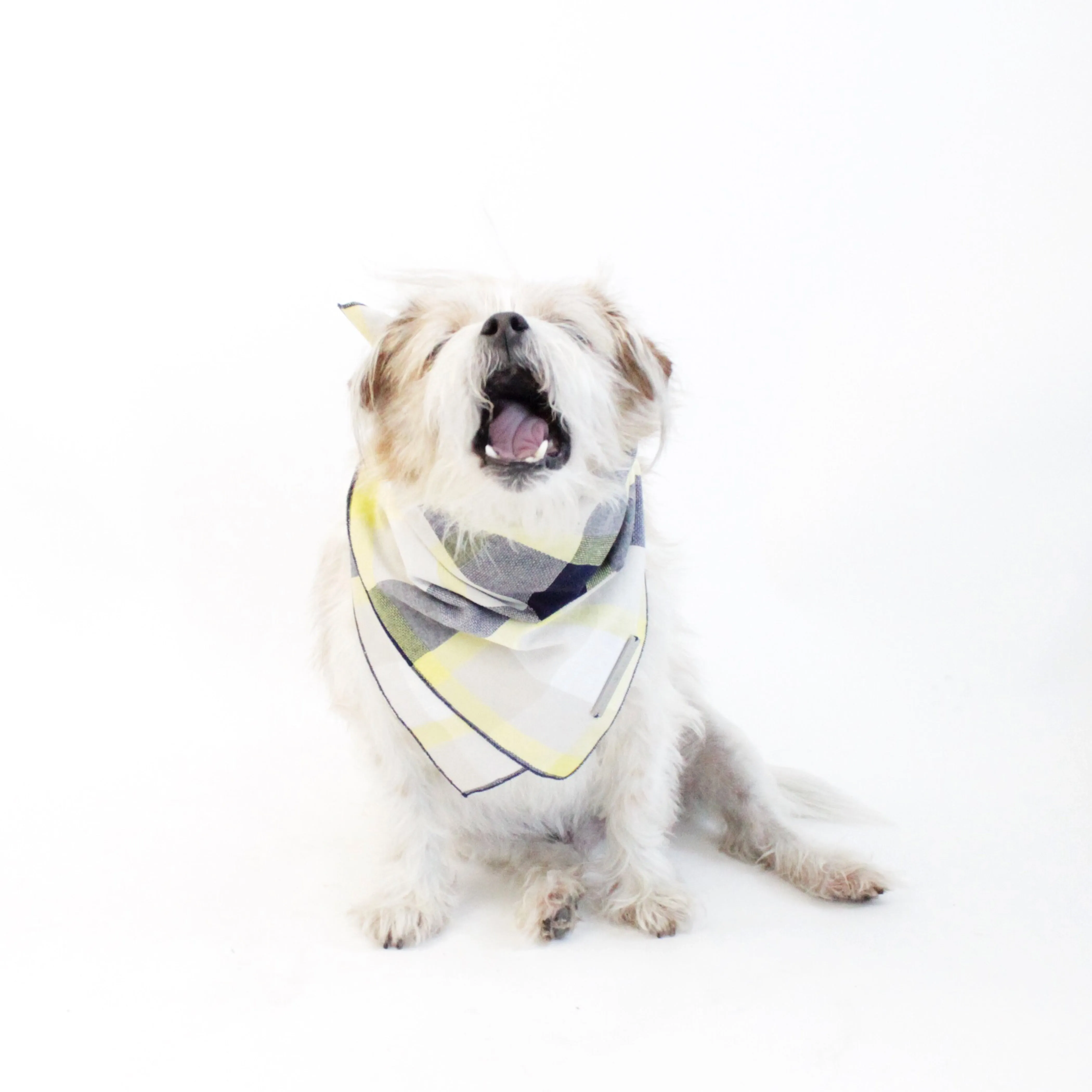 Ro Reversible Scarf Bandana