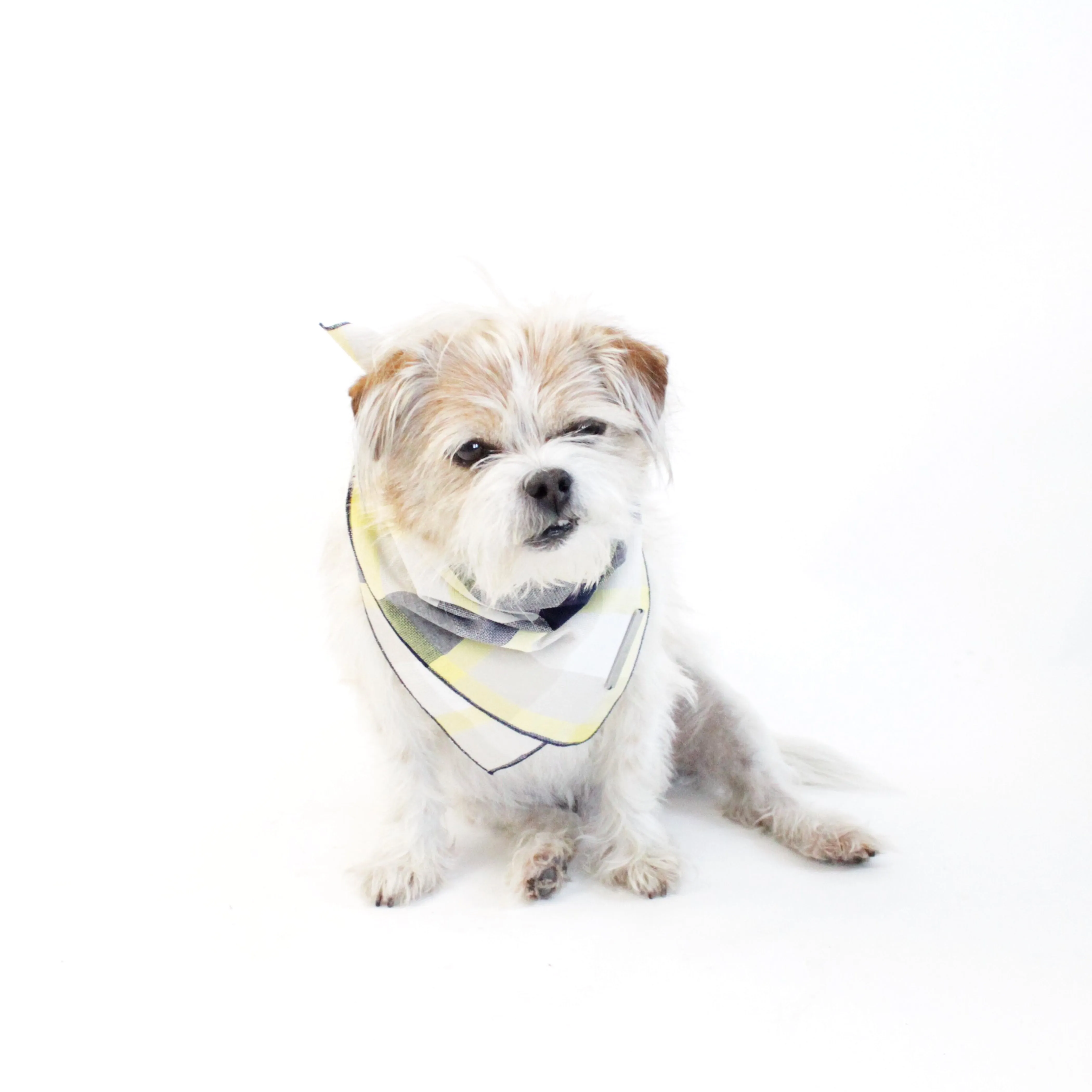 Ro Reversible Scarf Bandana