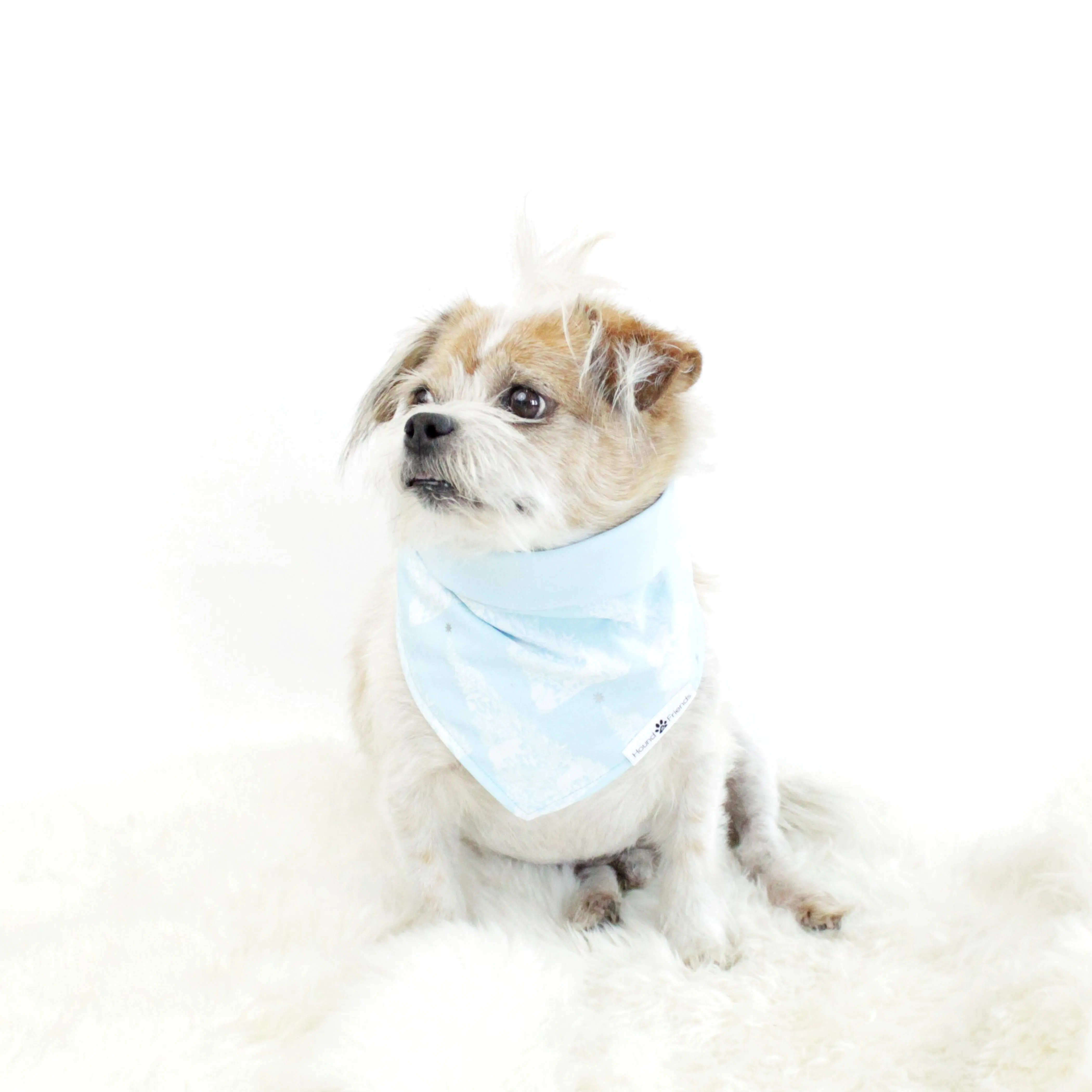 Robbin Reversible Bandana