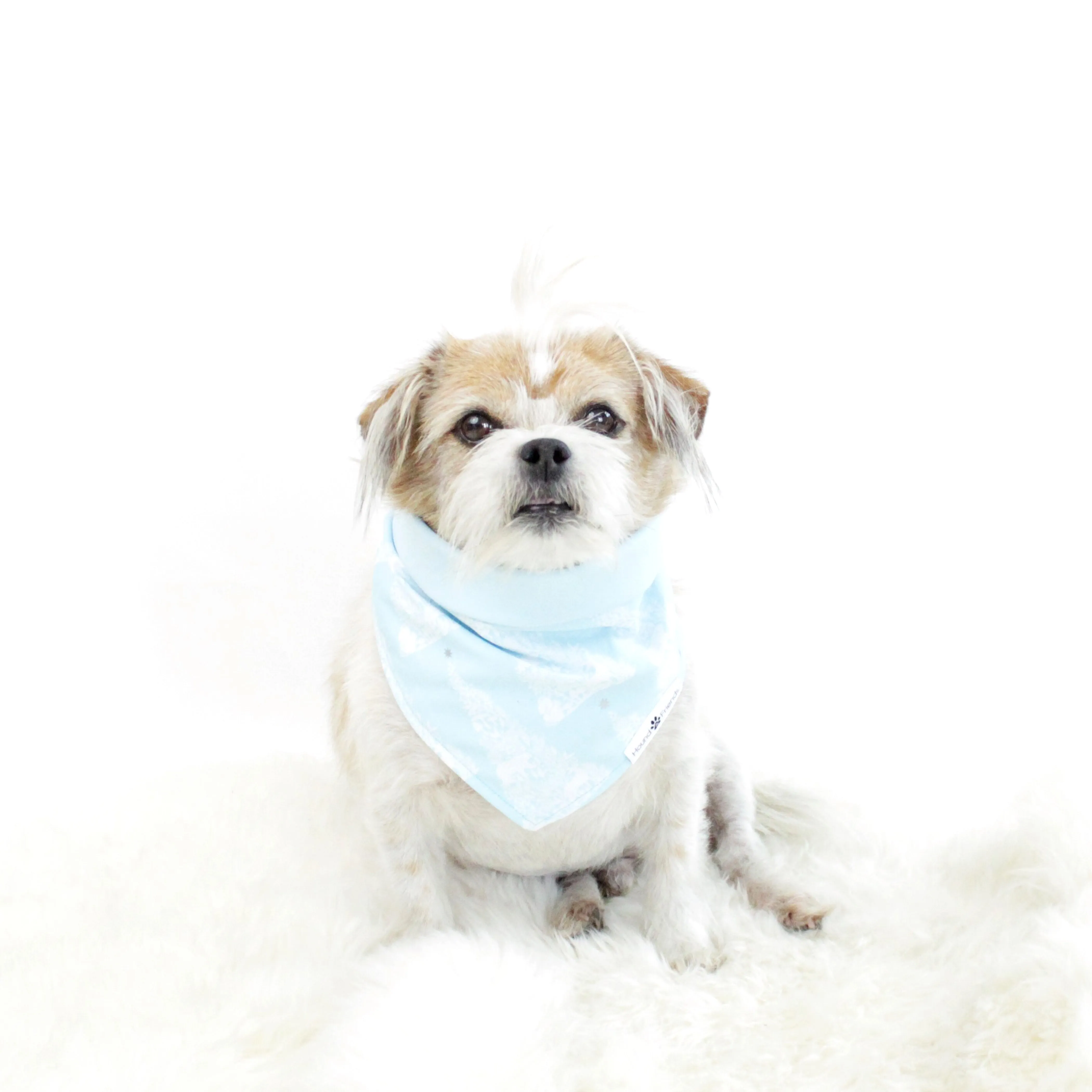Robbin Reversible Bandana