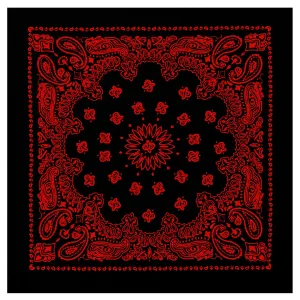 Rothco Trainmen Paisley Bandana - 22" X 22"